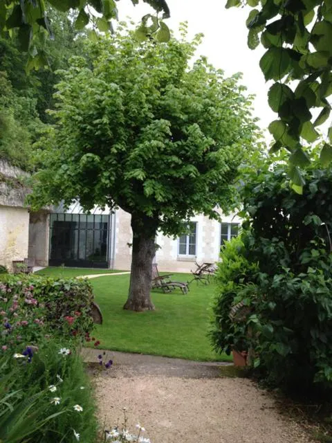 Garden in Château de Nazelles Amboise