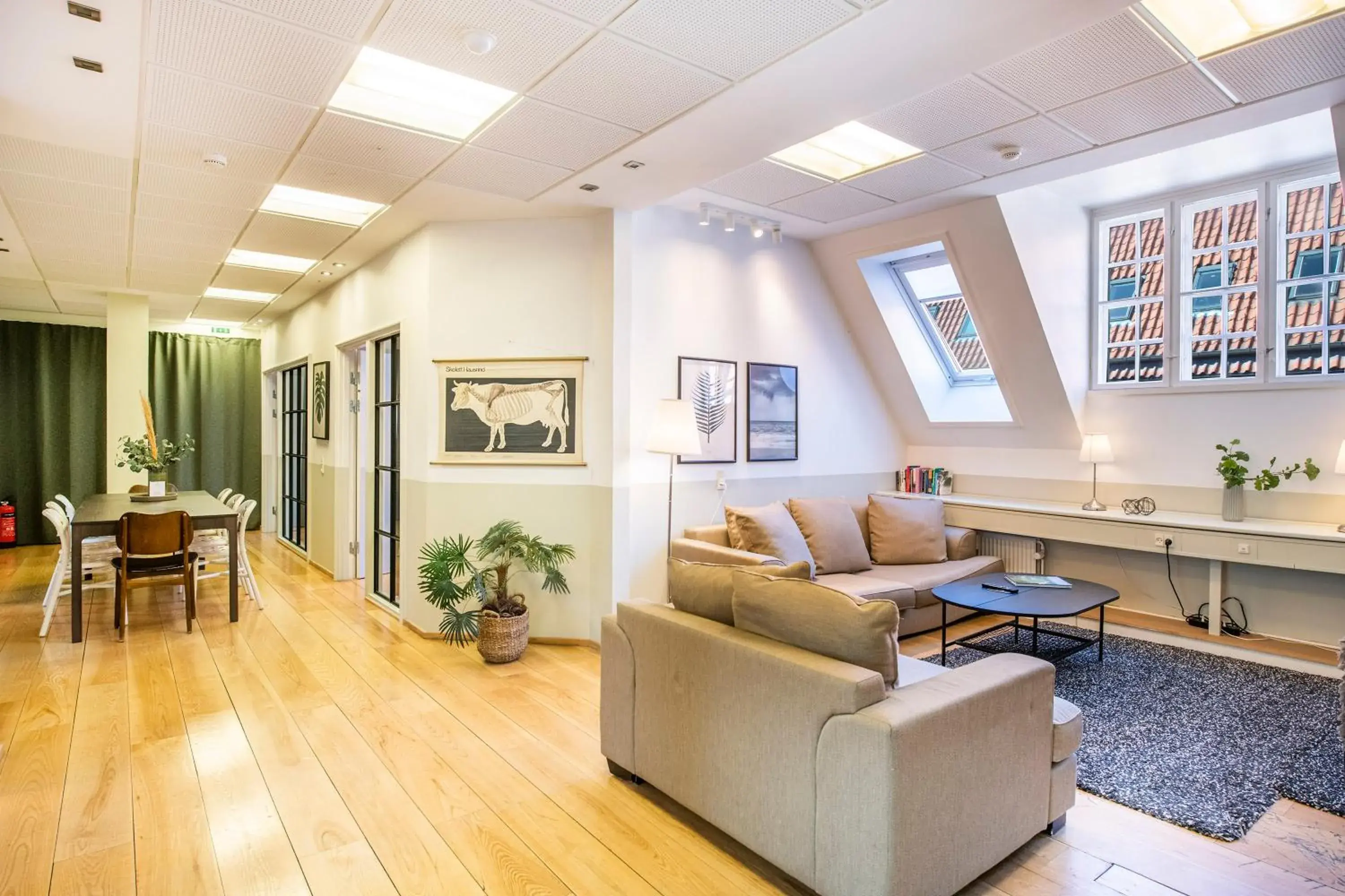 Kings Garden 1 by Daniel&jacob's Kings Garden 1 by Daniel&jacob's