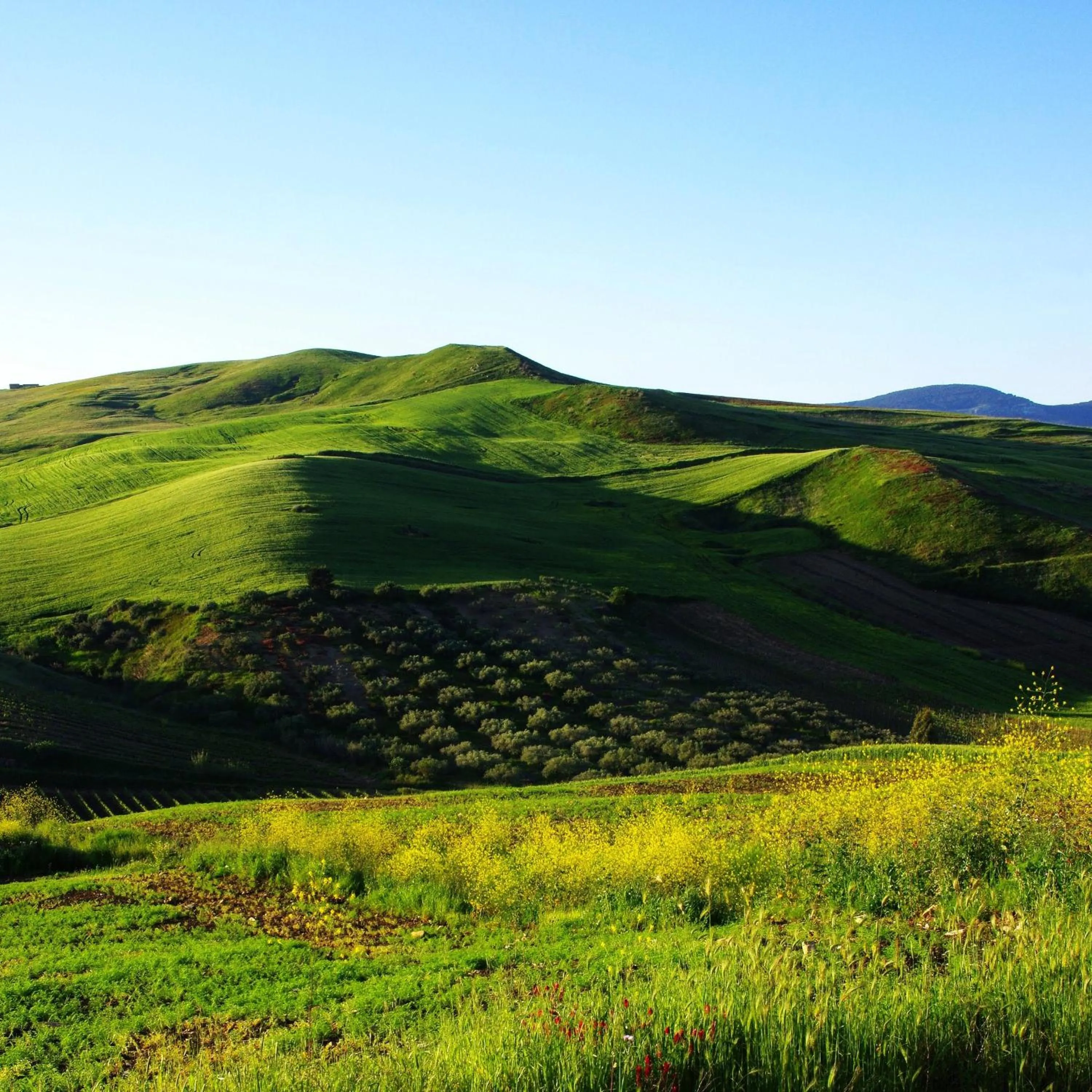 B&B Polvere di stelle