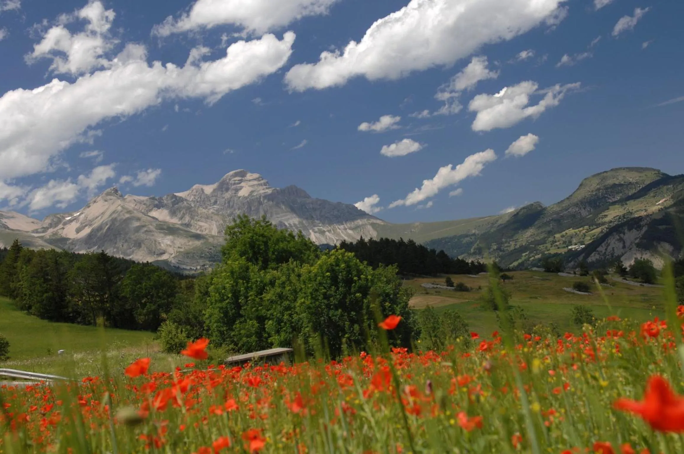 Area and facilities in Résidence Odalys L'Orée des Pistes