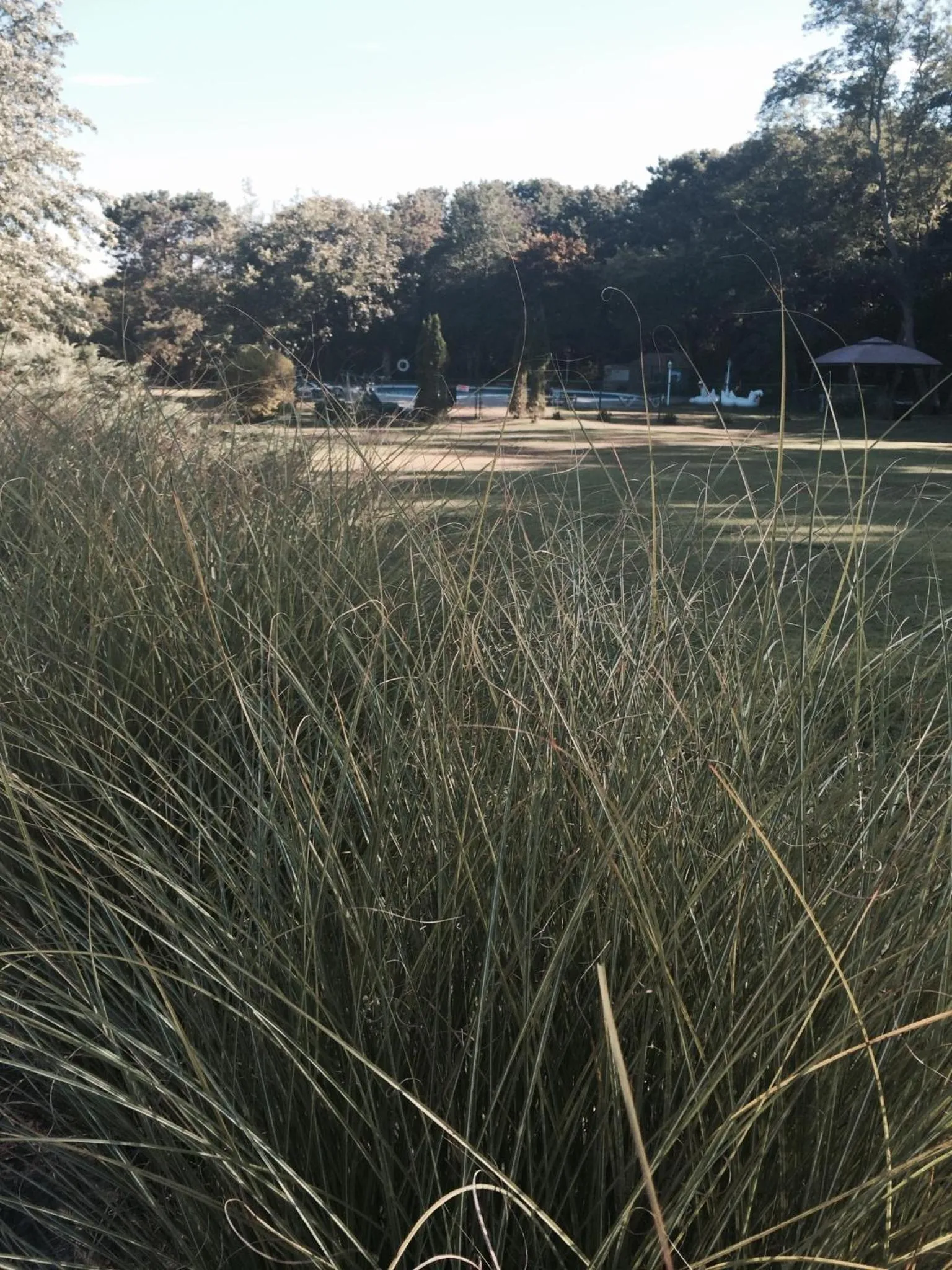 Natural landscape in Hamlet Inn