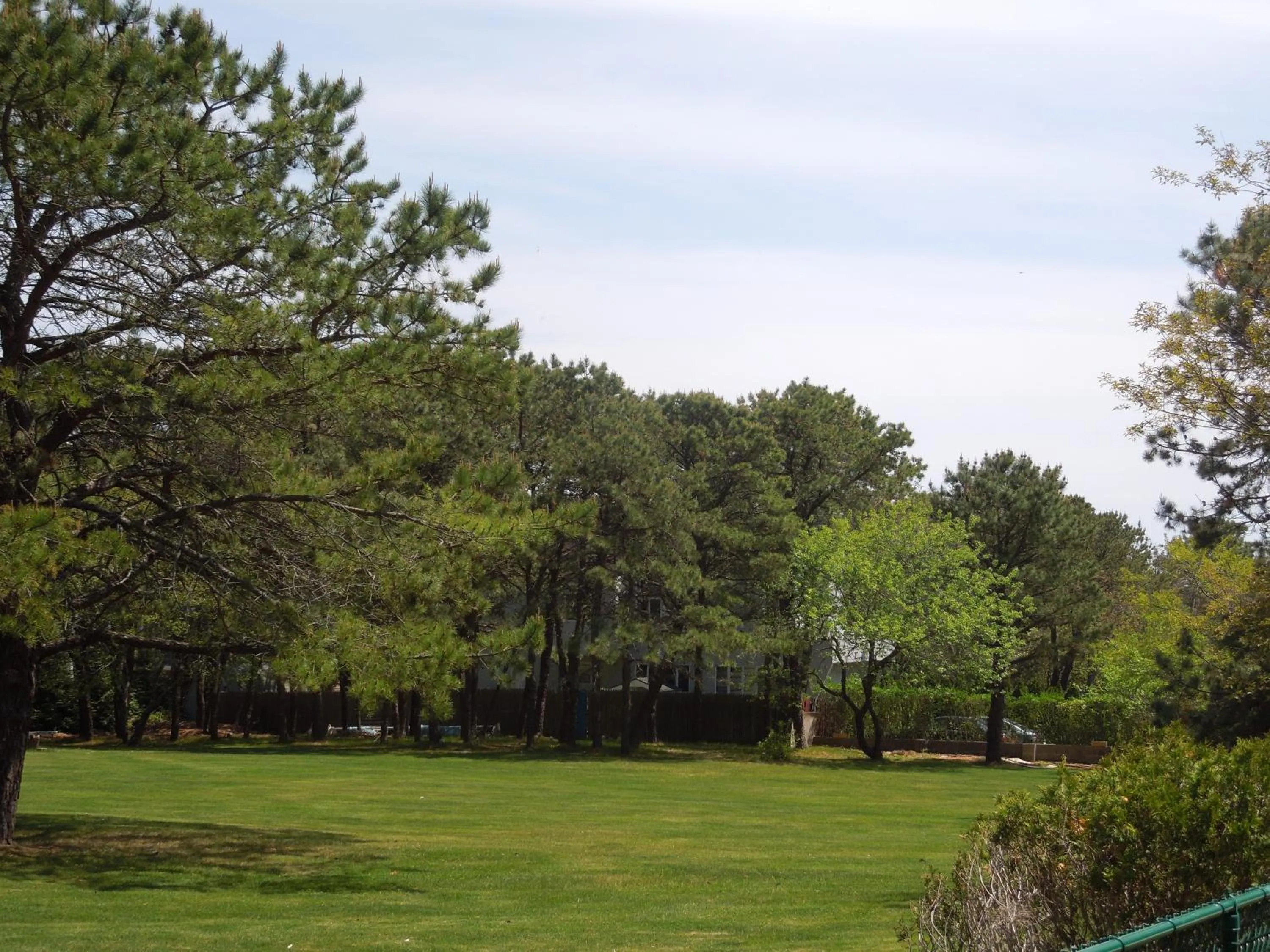 Natural landscape in Hamlet Inn