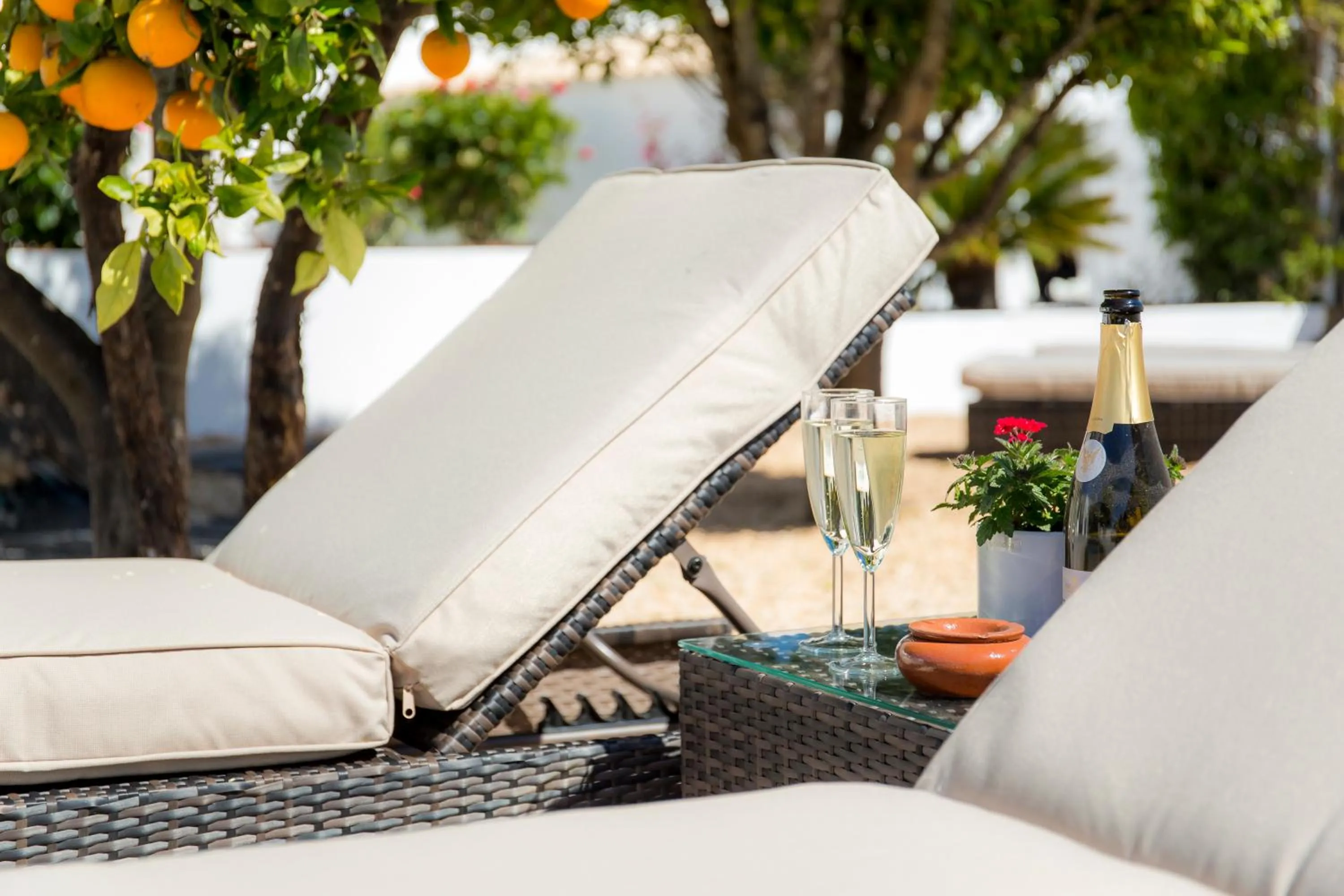 Swimming pool in Casa Luisandra Boutique Hotel B&B