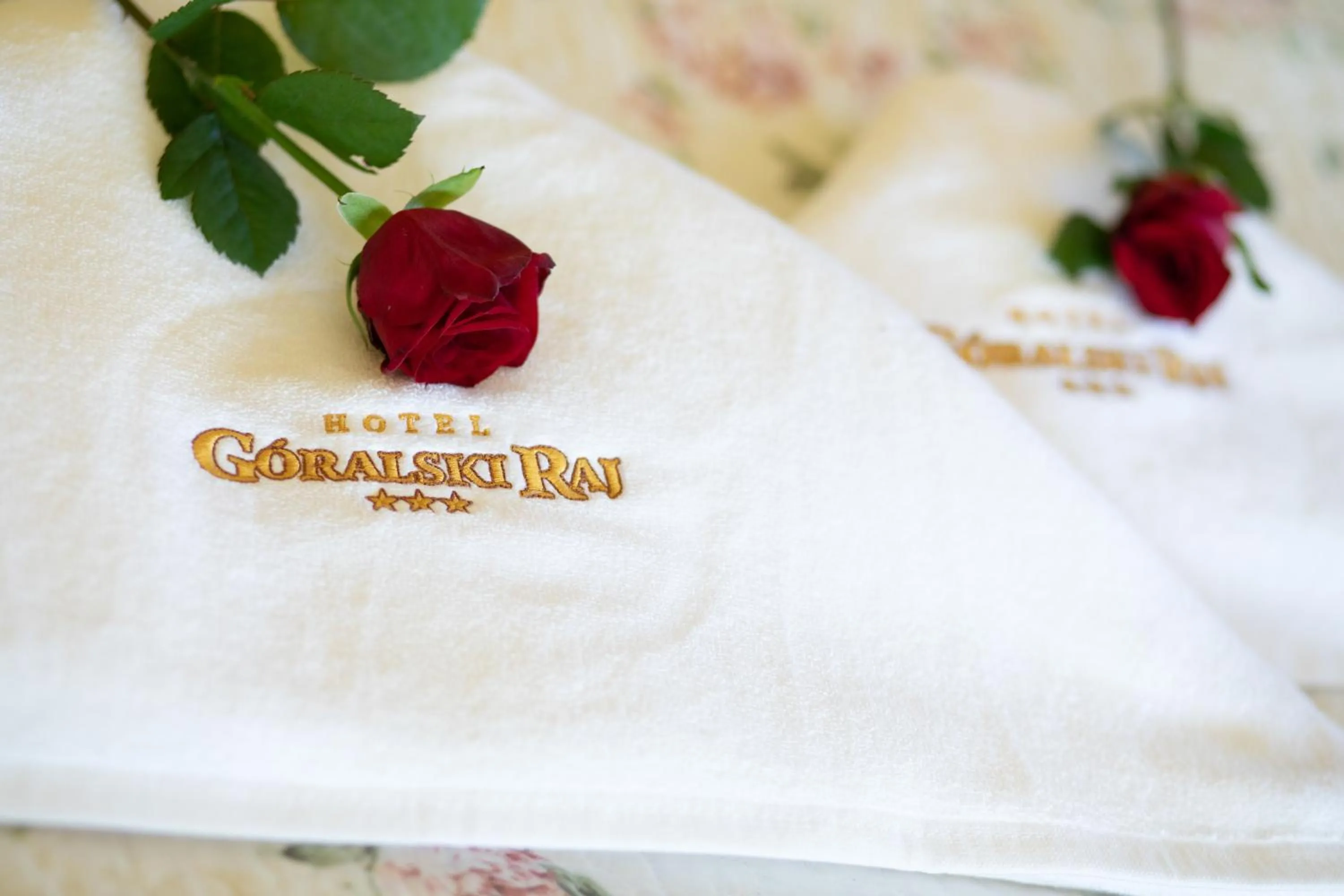 Photo of the whole room in Hotel Góralski Raj