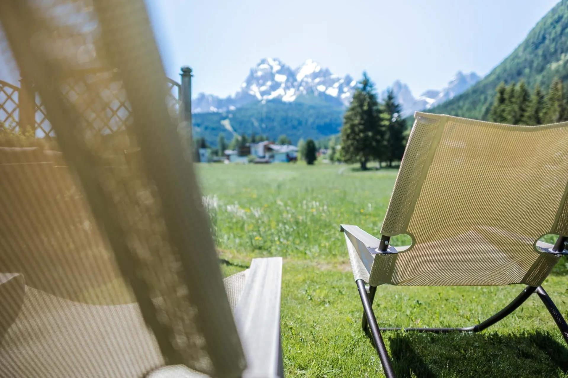 Garden in Hotel Waldheim