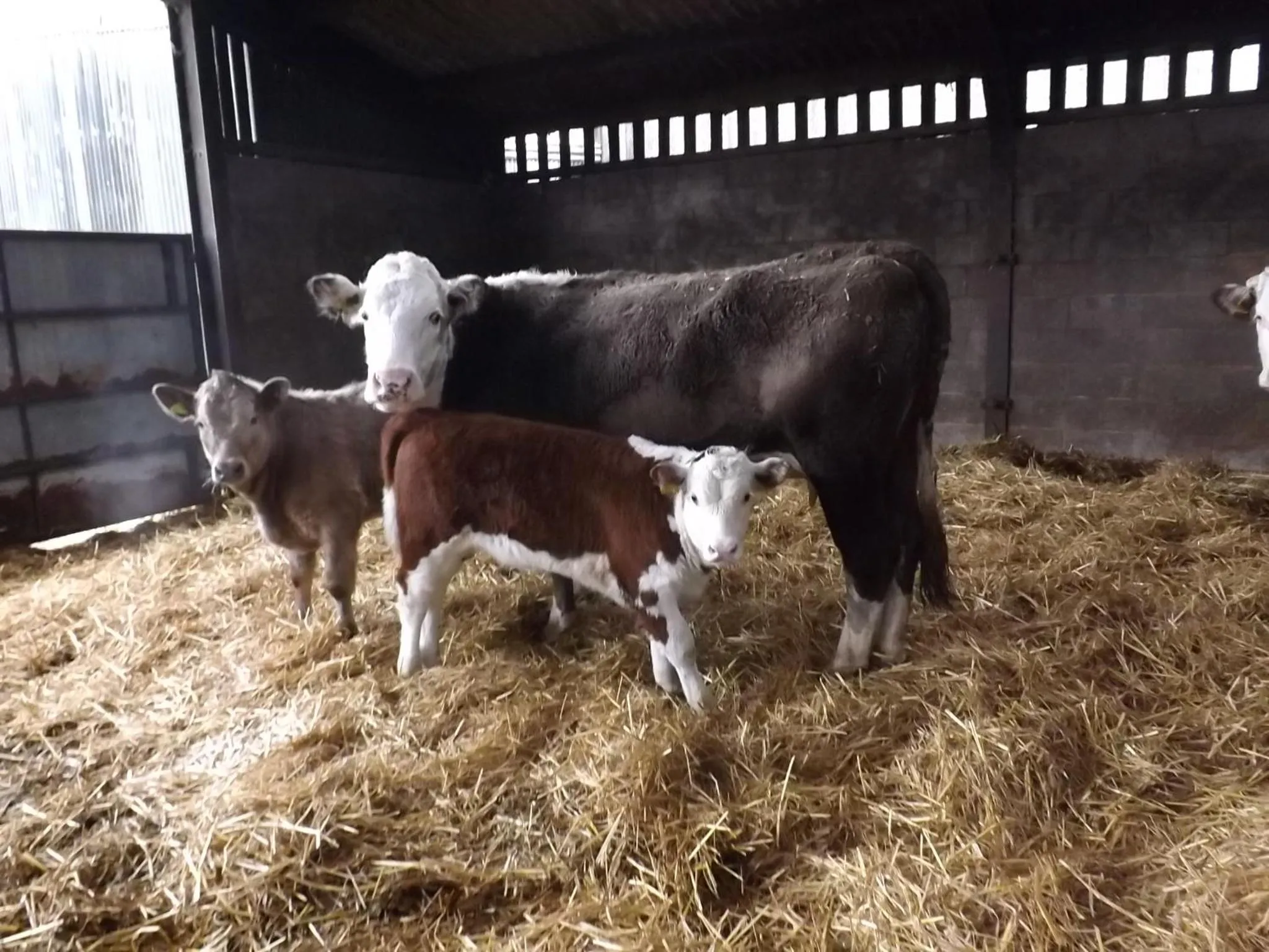 View (from property/room) in Peartree Farm