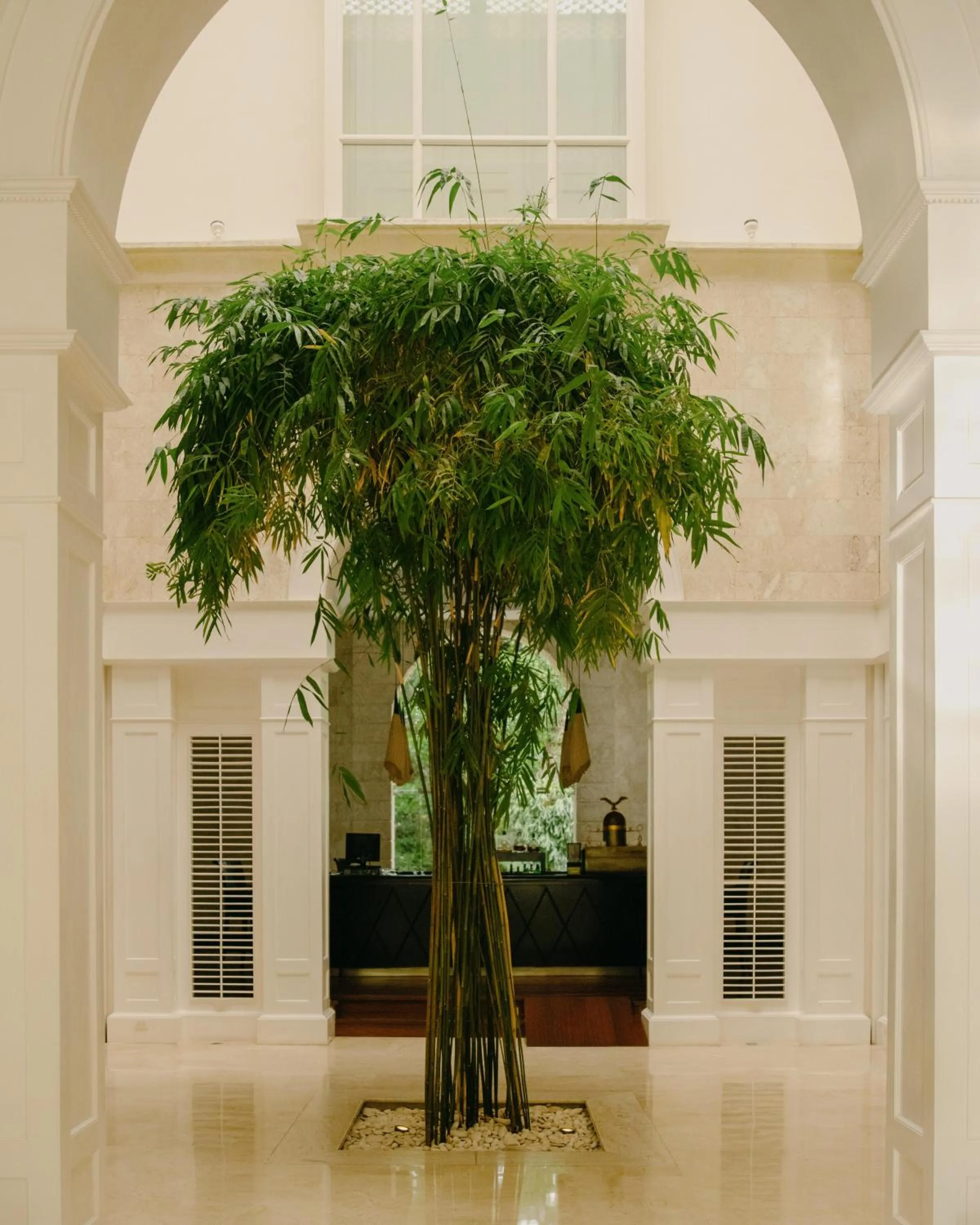 Lobby or reception in Casa Colonial Beach & Spa