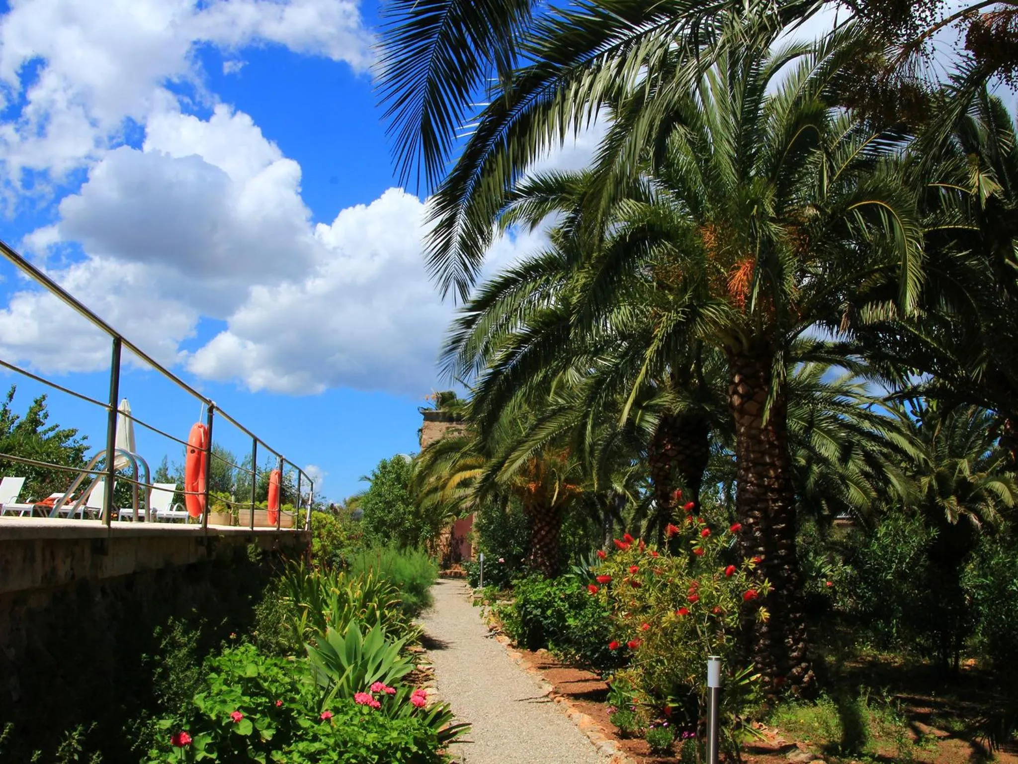 Natural landscape in Finca Hotel Rural Predio Son Serra