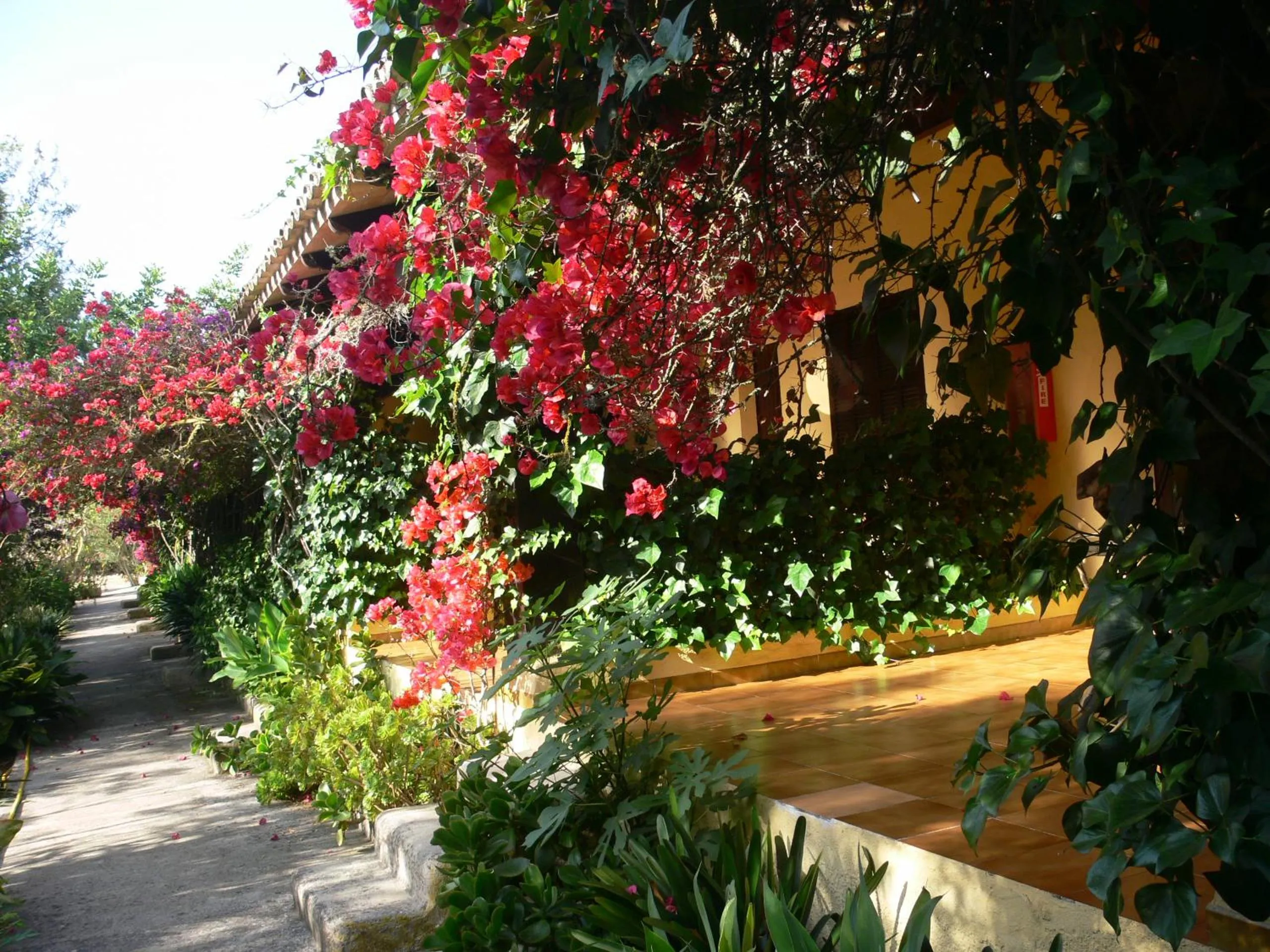 Garden in Finca Hotel Rural Predio Son Serra