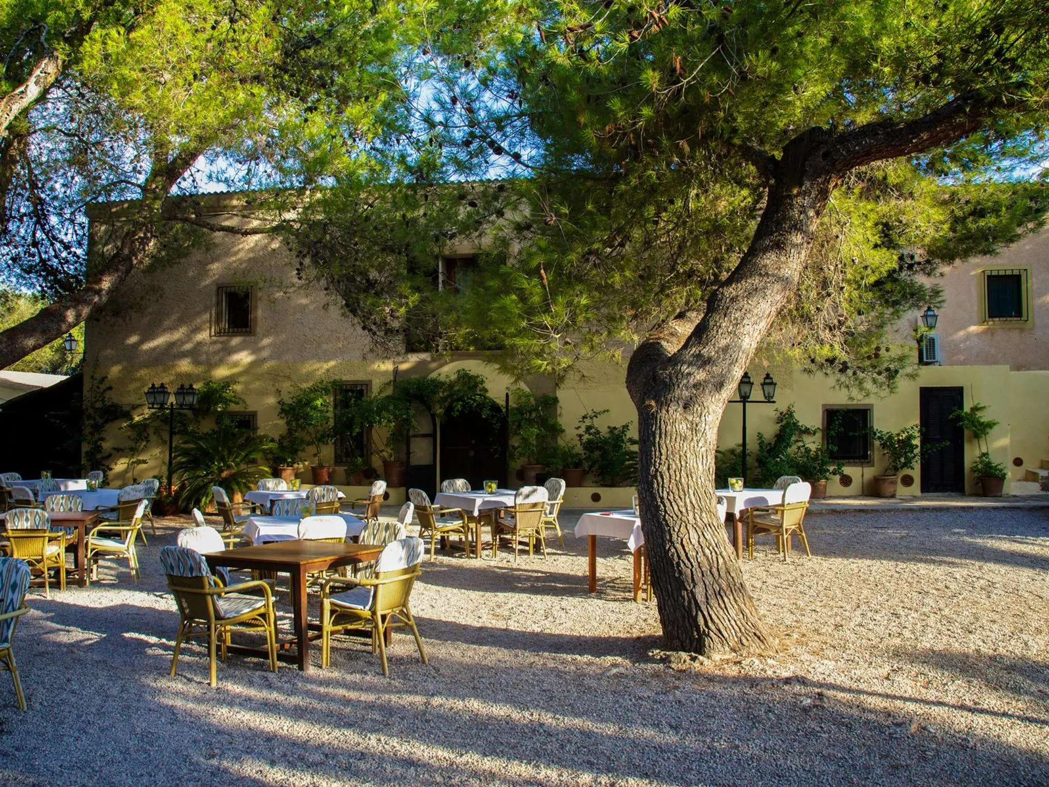 Restaurant/places to eat in Finca Hotel Rural Predio Son Serra
