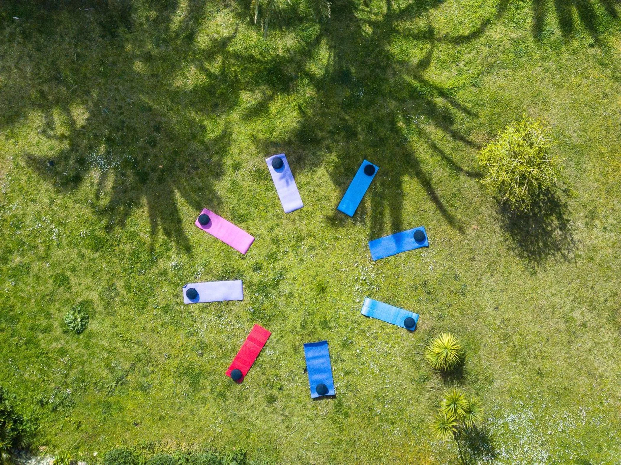Garden in Finca Hotel Rural Predio Son Serra