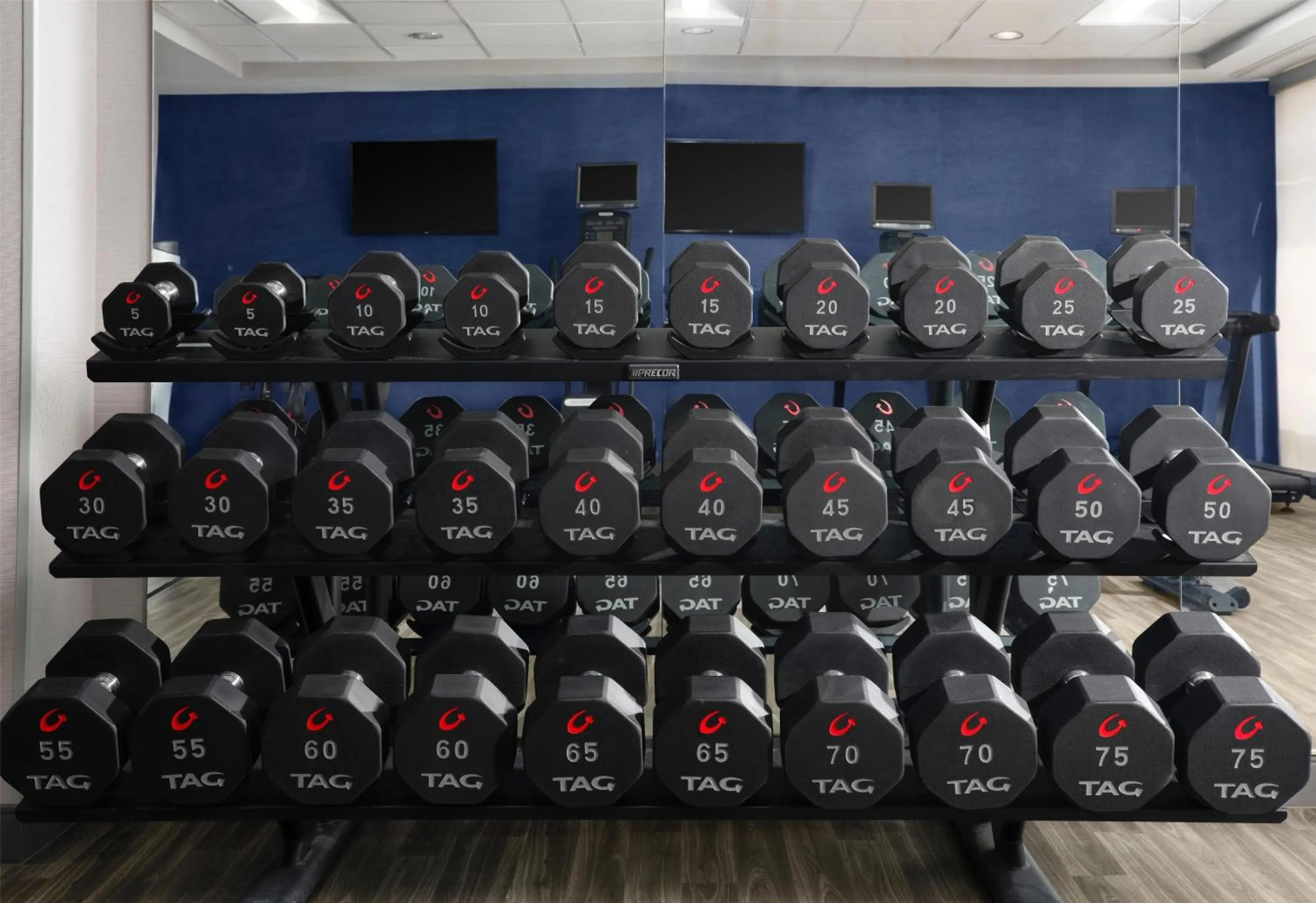 Fitness centre/facilities in Hampton Inn Meridian