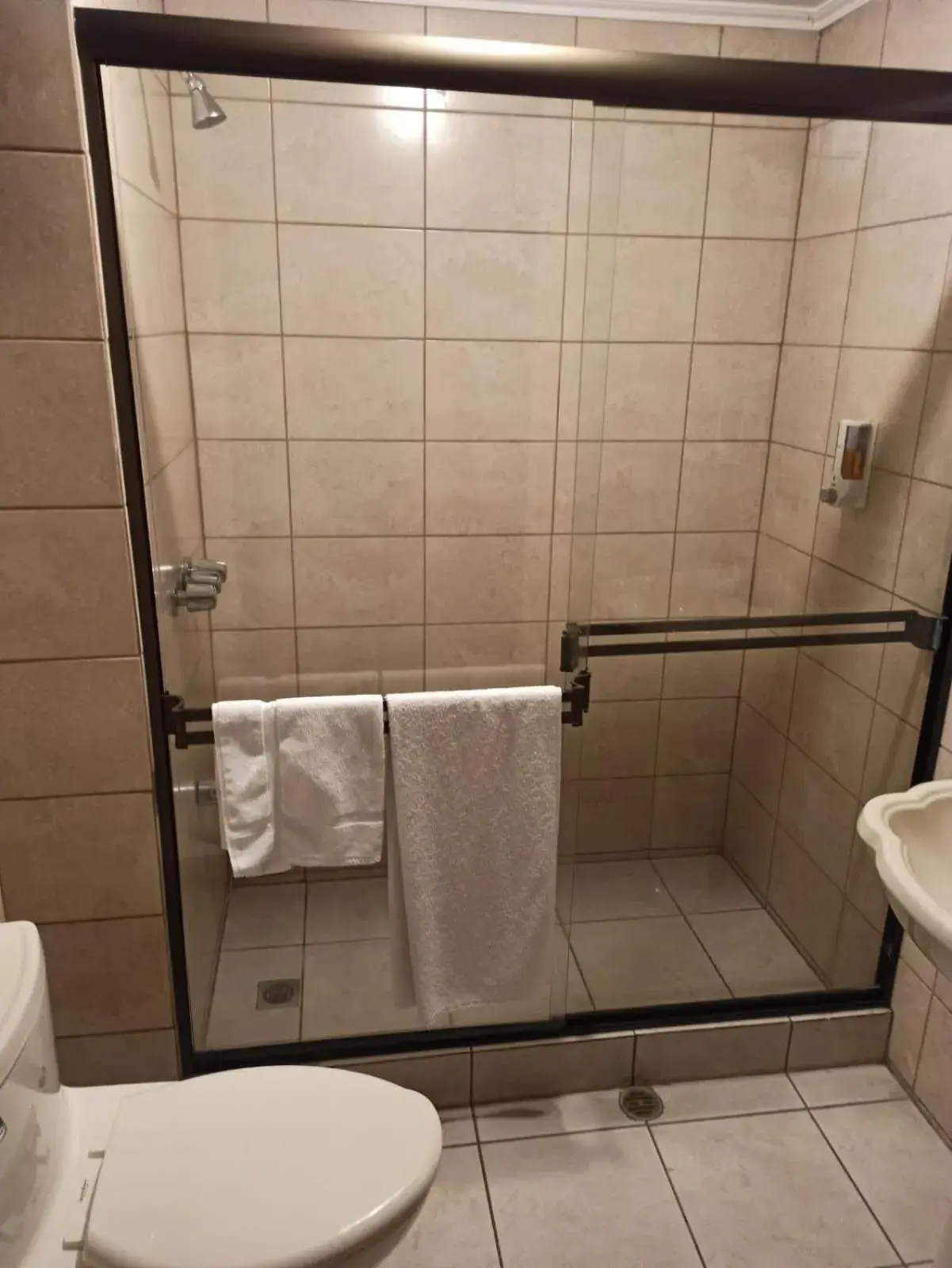 Budget Double Room in Hotel Plaza Real Suites & Apartments San Jose Budget Double Room in Hotel Plaza Real Suites & Apartments San Jose