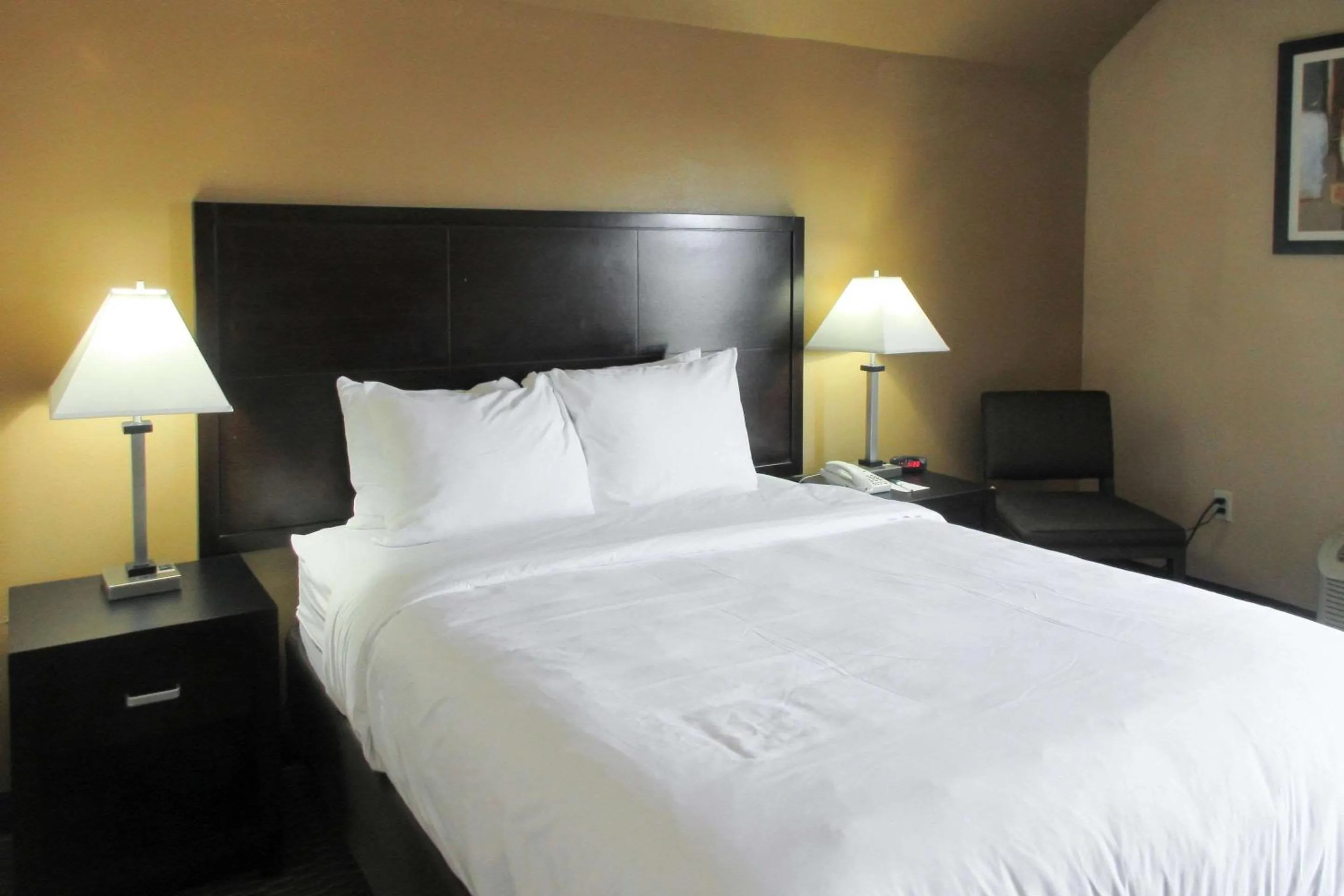 Photo of the whole room, Bed in Quality Inn & Suites