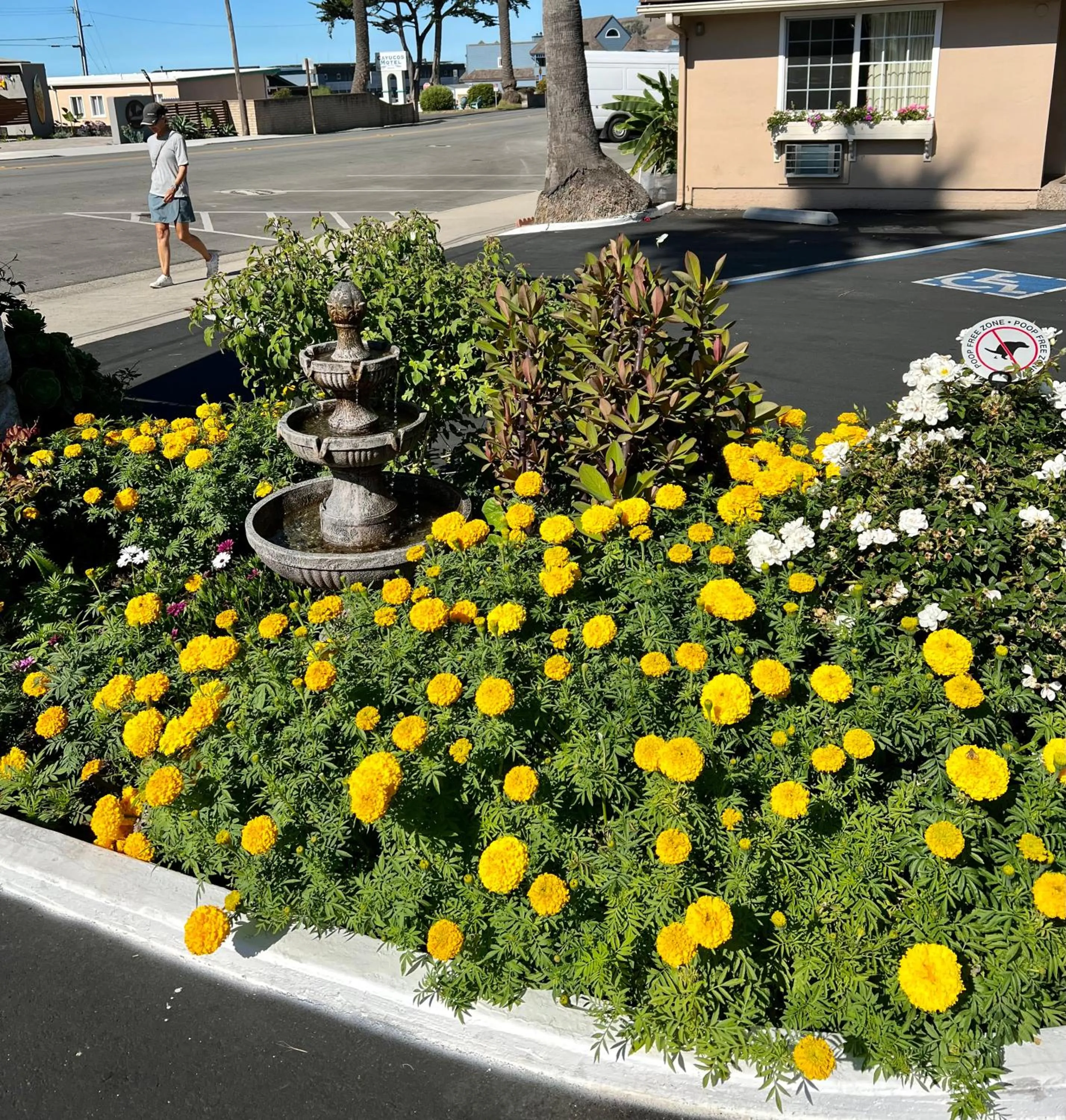 Property building in Central Coast Inn Cayucos