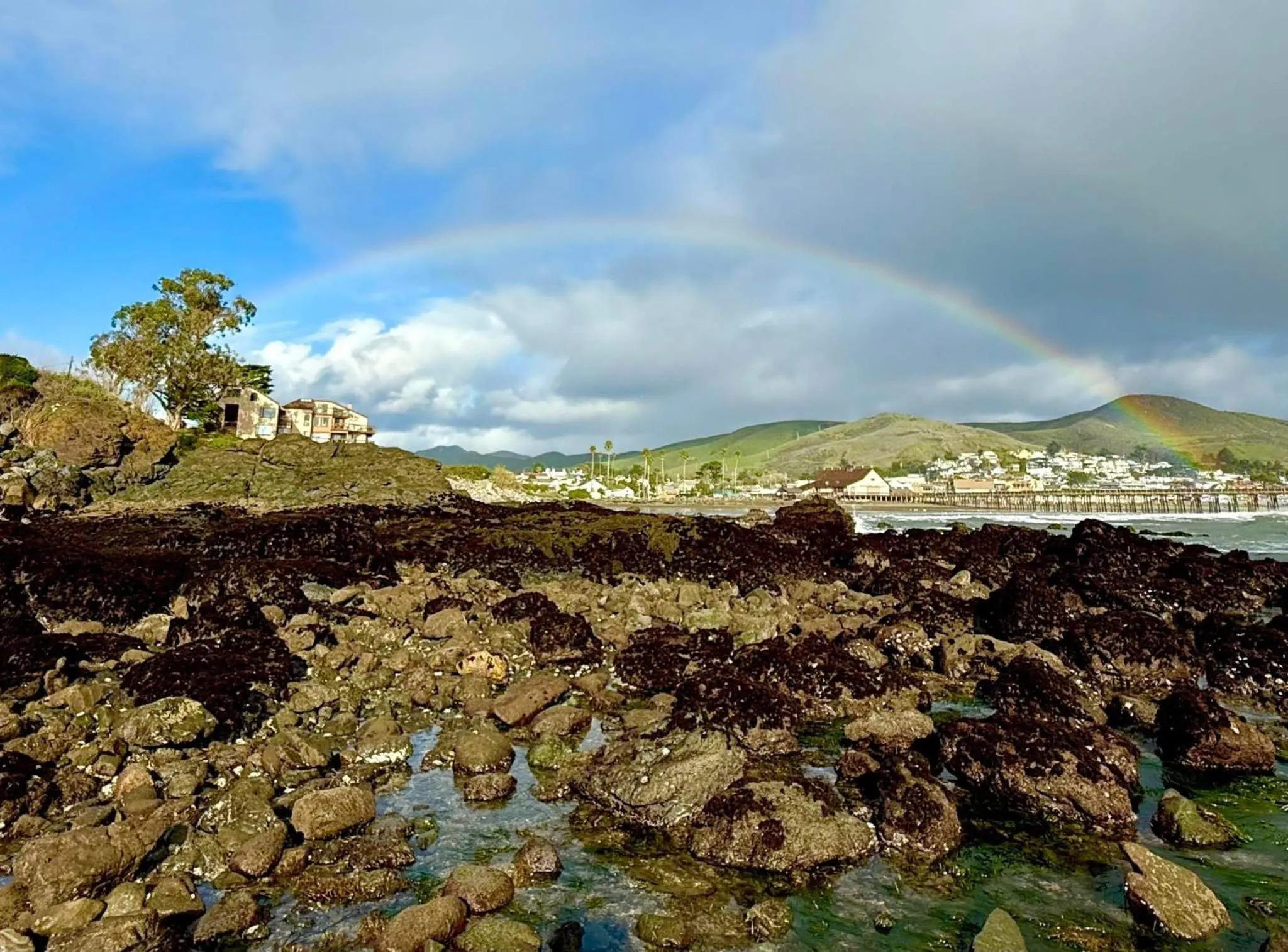 Windsurfing in Central Coast Inn Cayucos