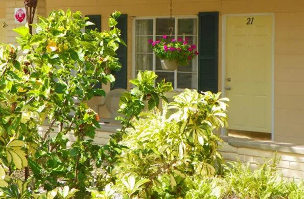 Facade/entrance in Island Breeze Inn - Venice