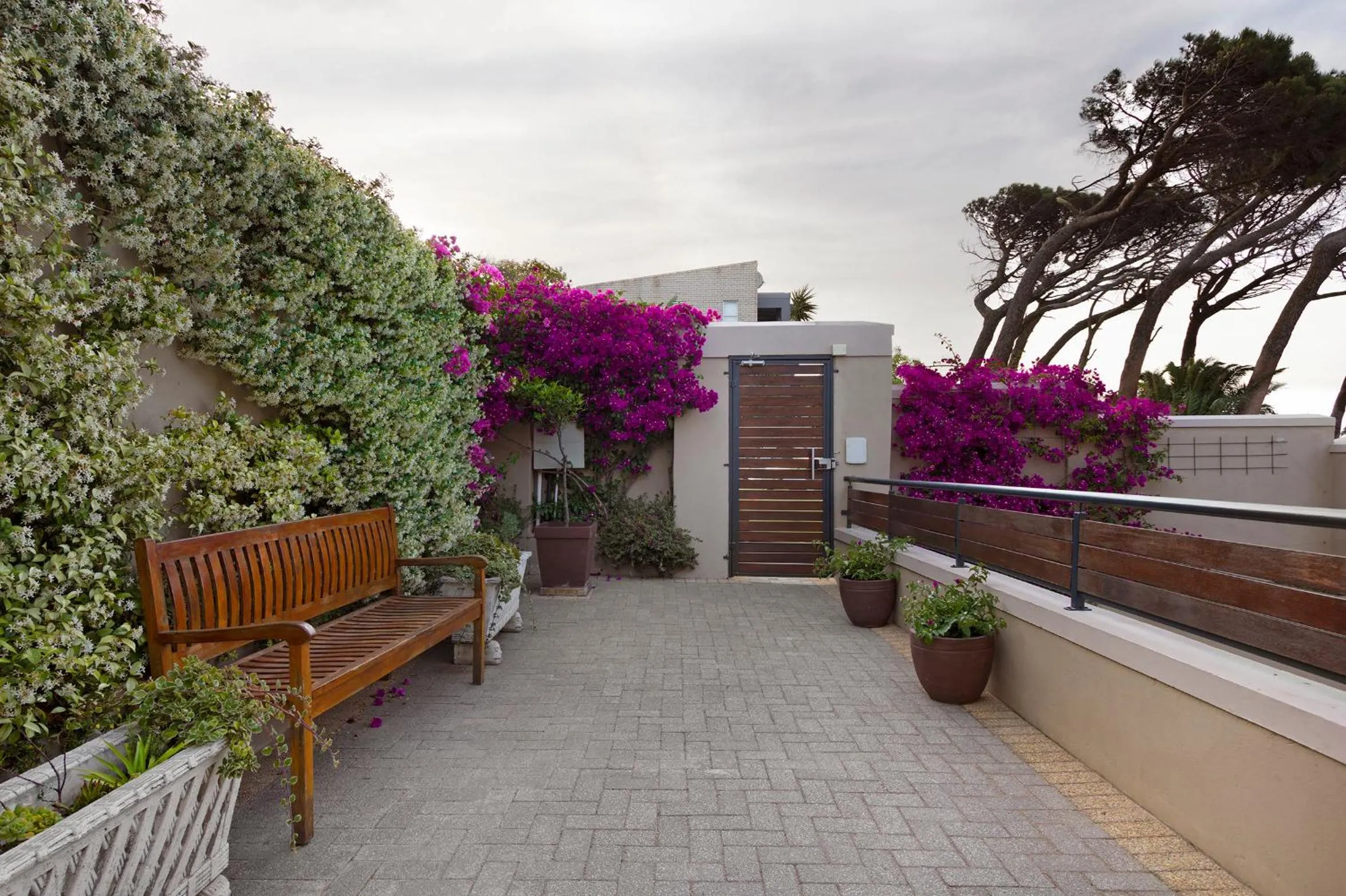 Garden in STAR APARTMENTS