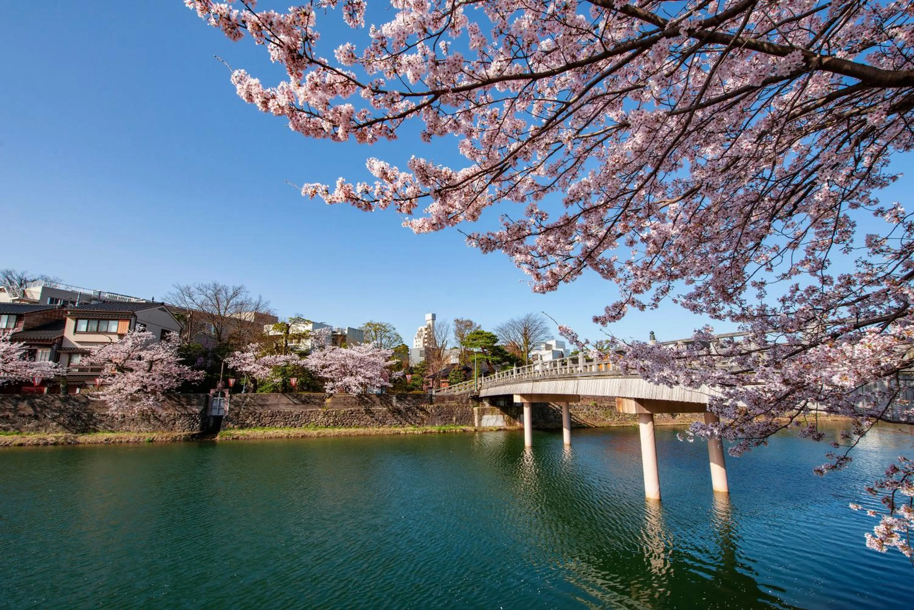 Other in ANA Crowne Plaza Kanazawa by IHG