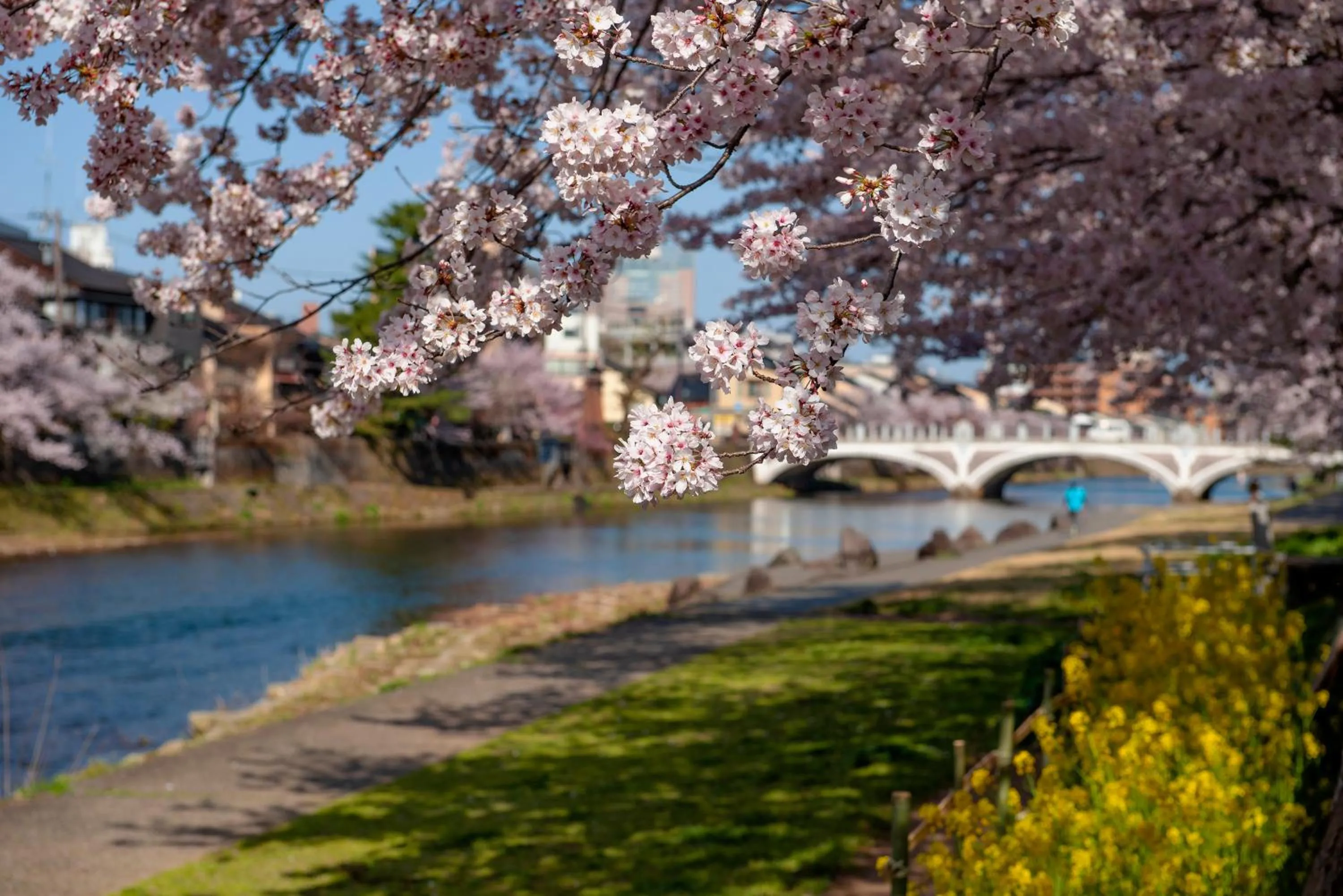 Other in ANA Crowne Plaza Kanazawa by IHG