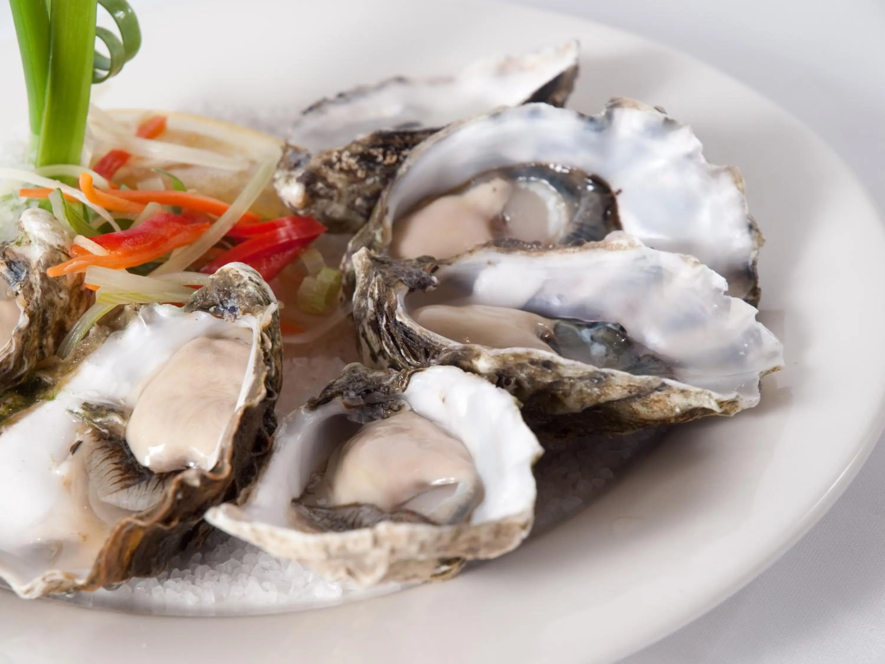 Food close-up in Best Western Plus All Settlers Motor Inn