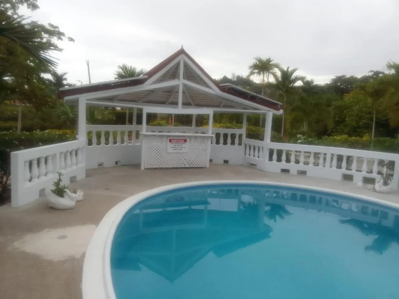 Pool view in Whistling Villa Runaway Bay