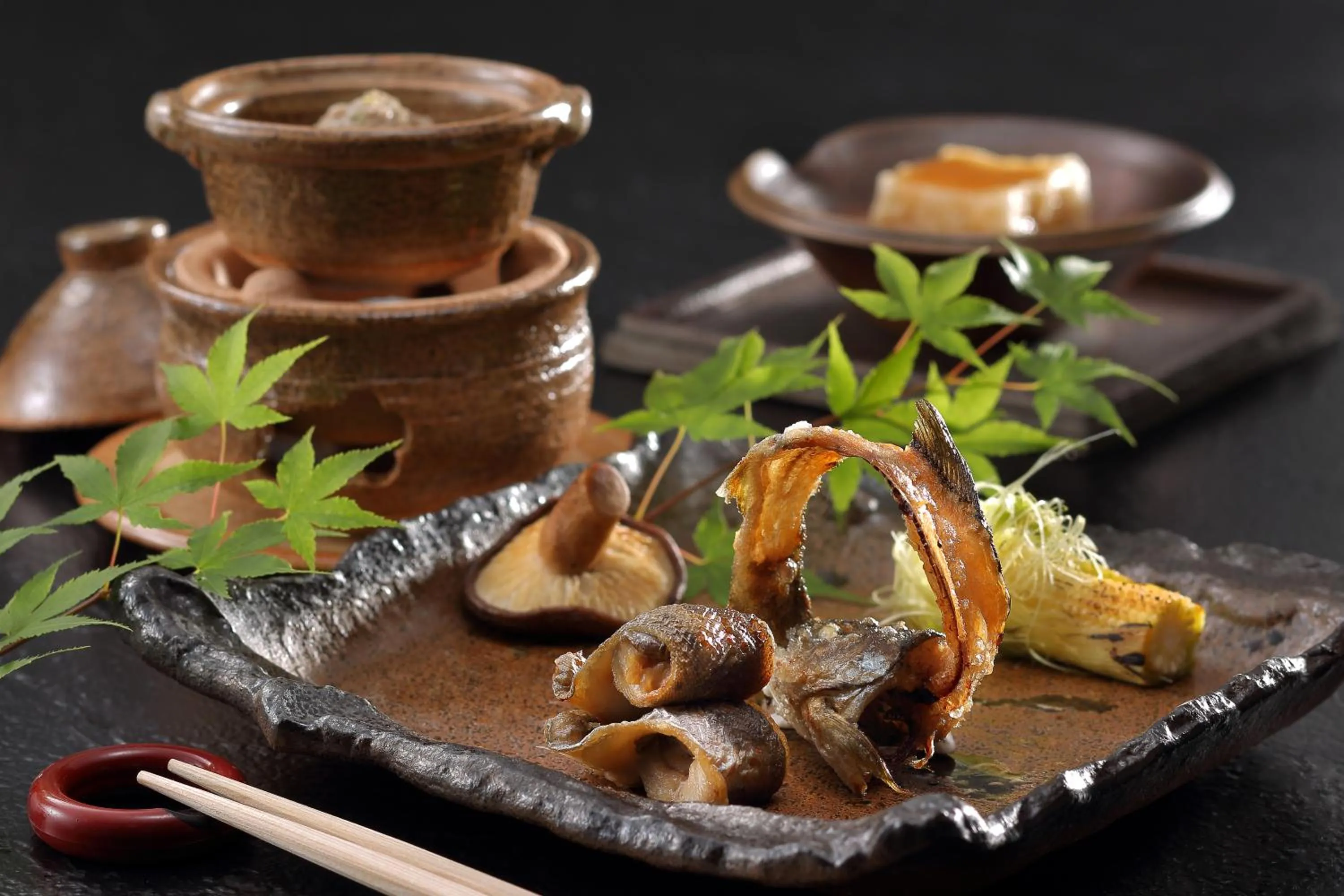 Food close-up in Marukyu Ryokan