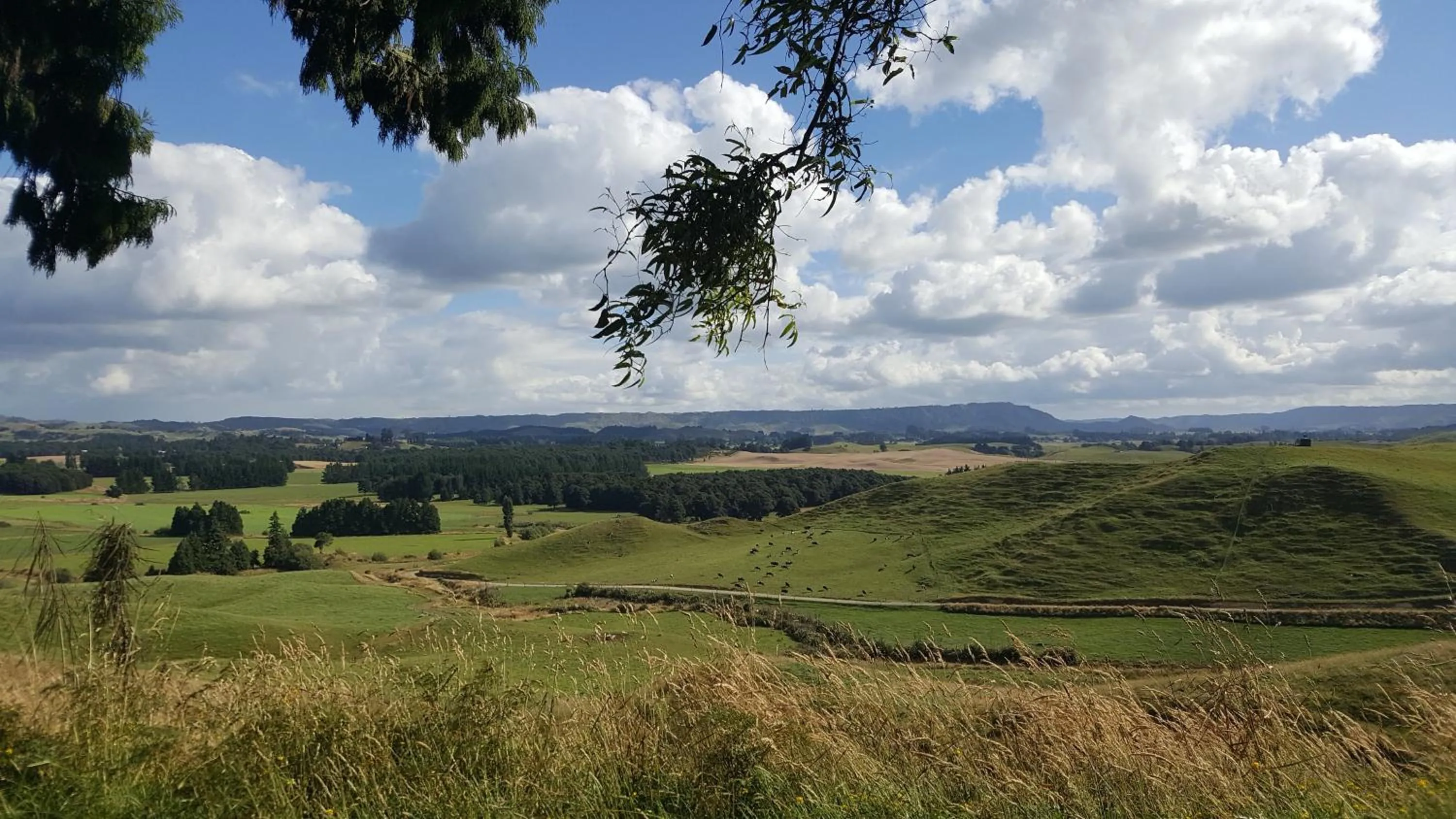 Ruapehu Mountain Motel & Lodge