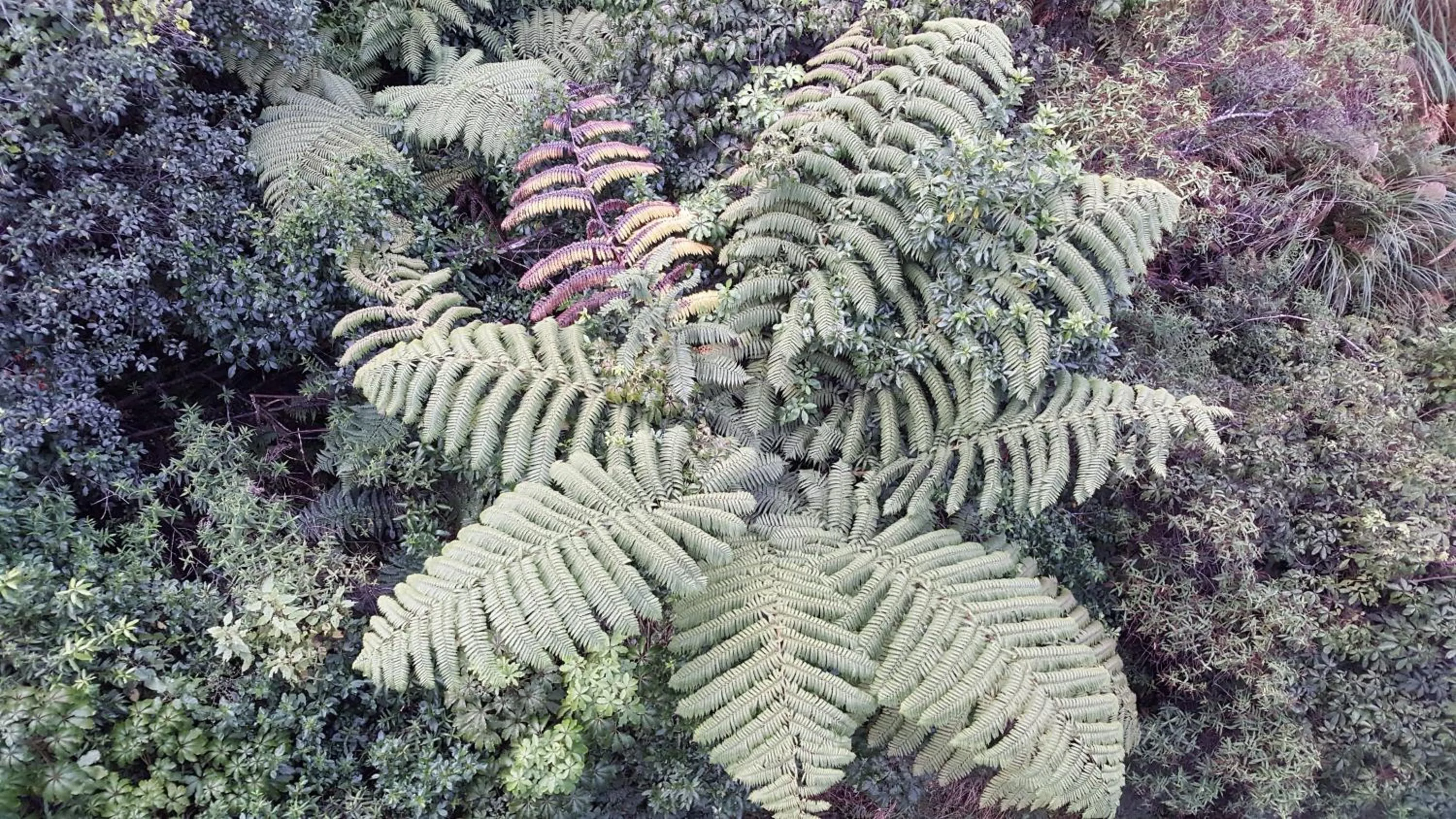 Ruapehu Mountain Motel & Lodge