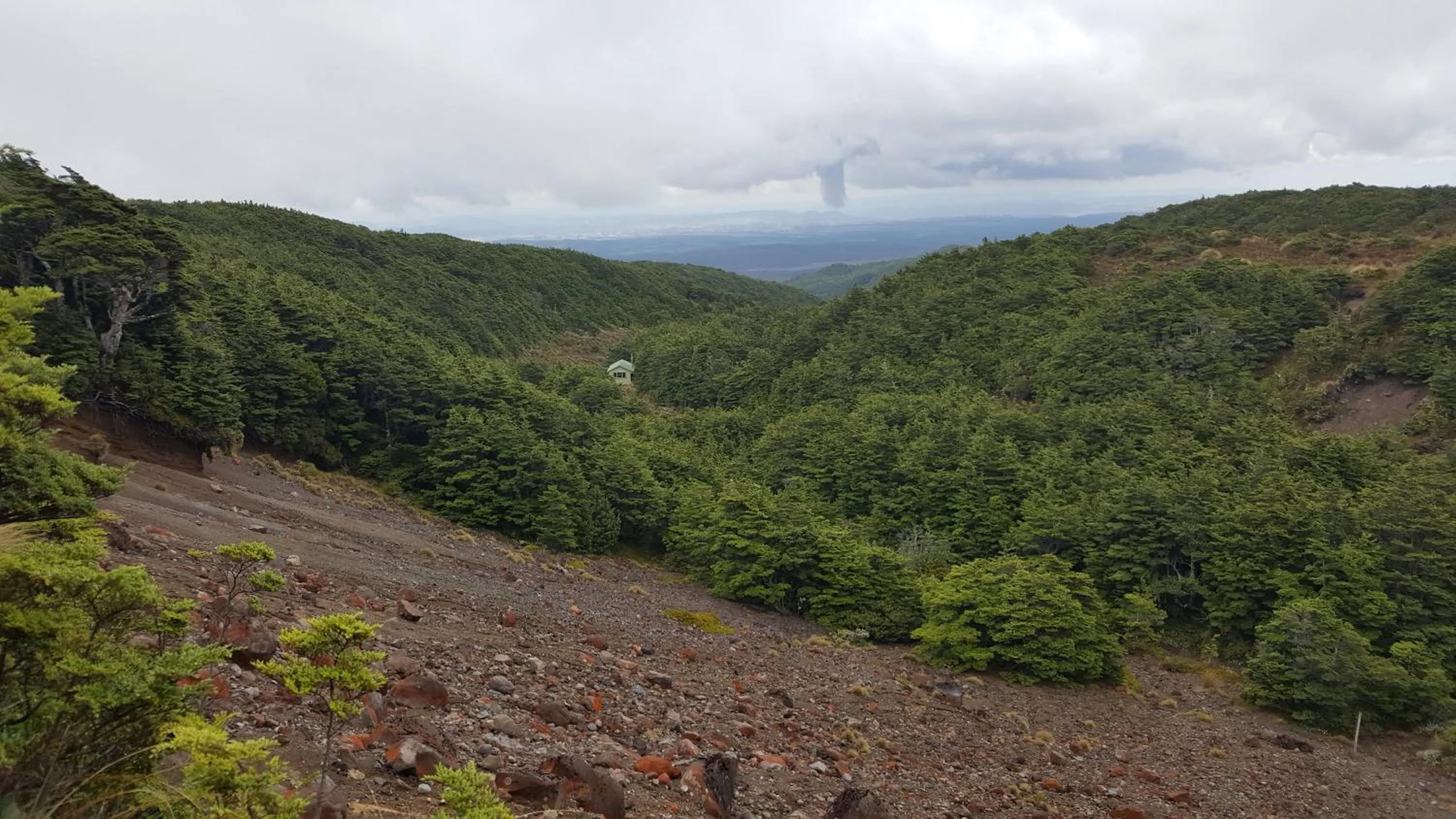Ruapehu Mountain Motel & Lodge