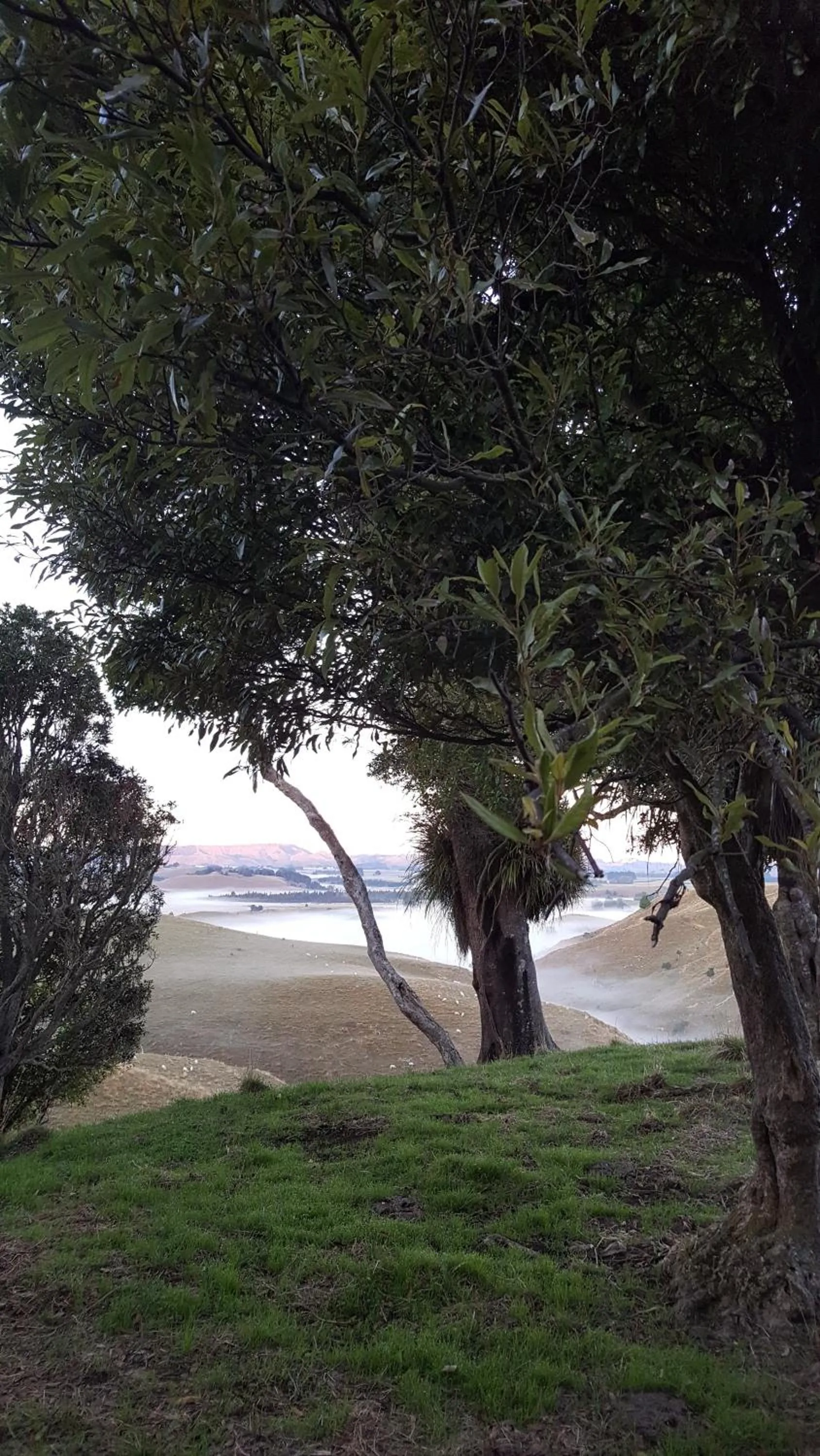 Ruapehu Mountain Motel & Lodge