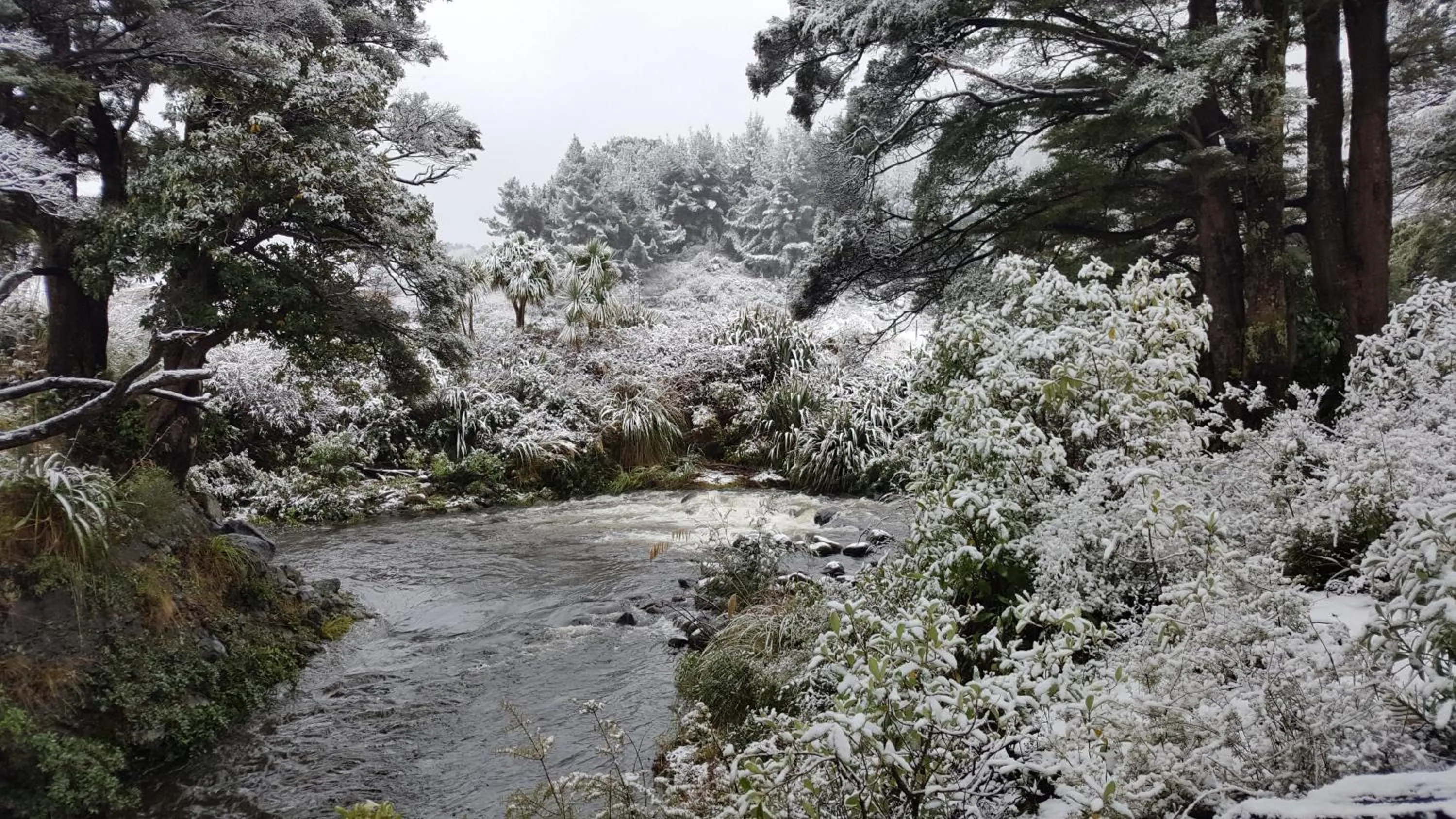 Ruapehu Mountain Motel & Lodge