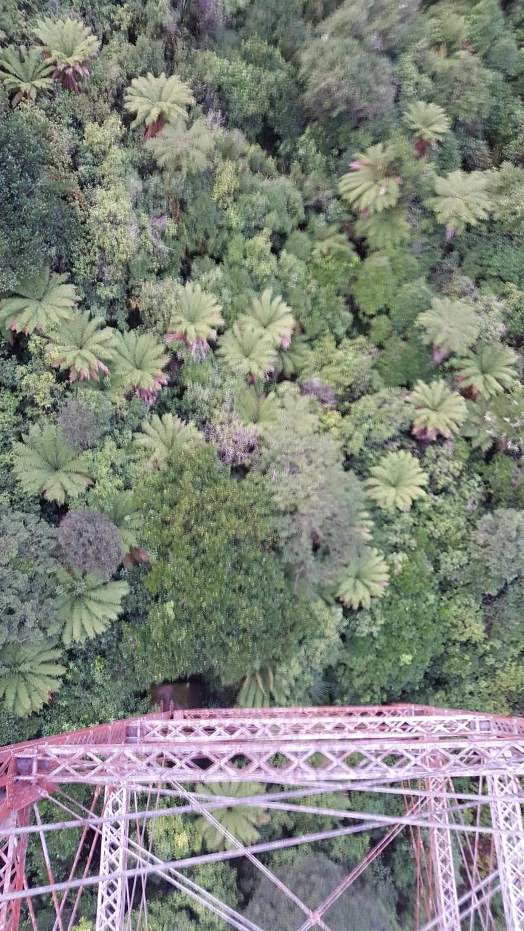 Ruapehu Mountain Motel & Lodge