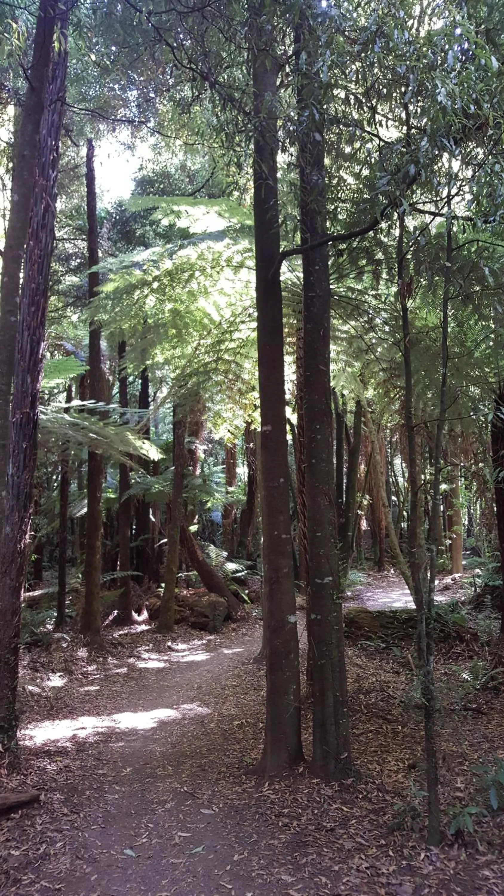 Ruapehu Mountain Motel & Lodge