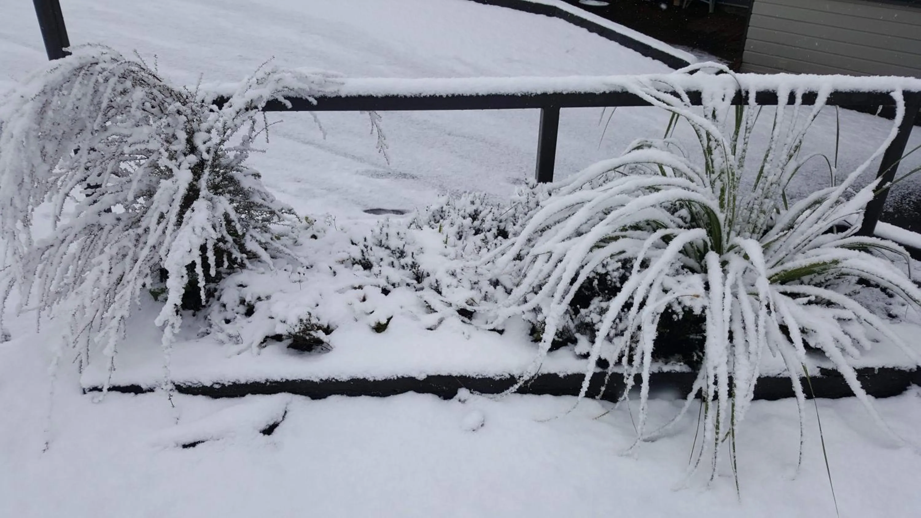 Ruapehu Mountain Motel & Lodge