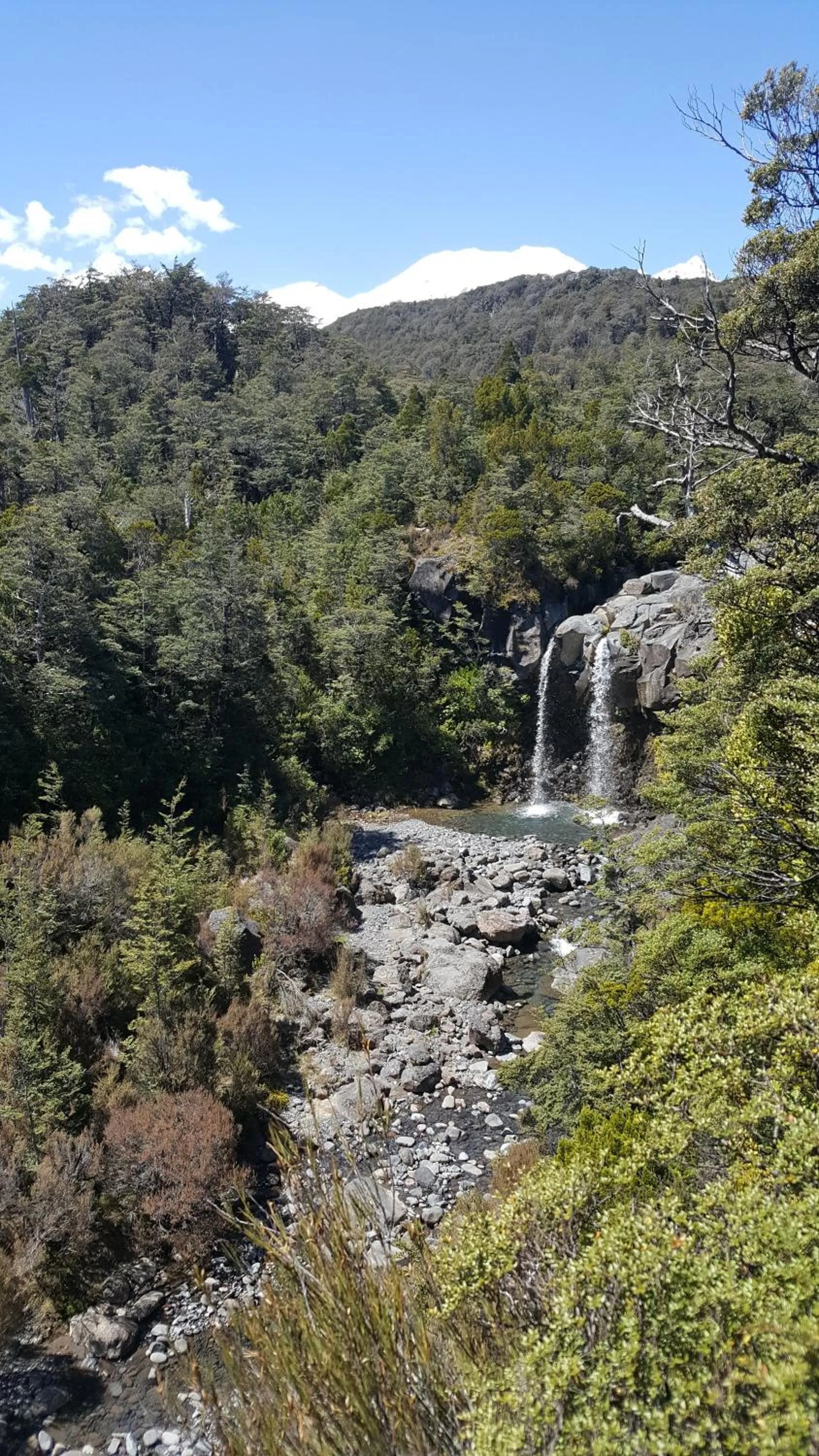 Ruapehu Mountain Motel & Lodge