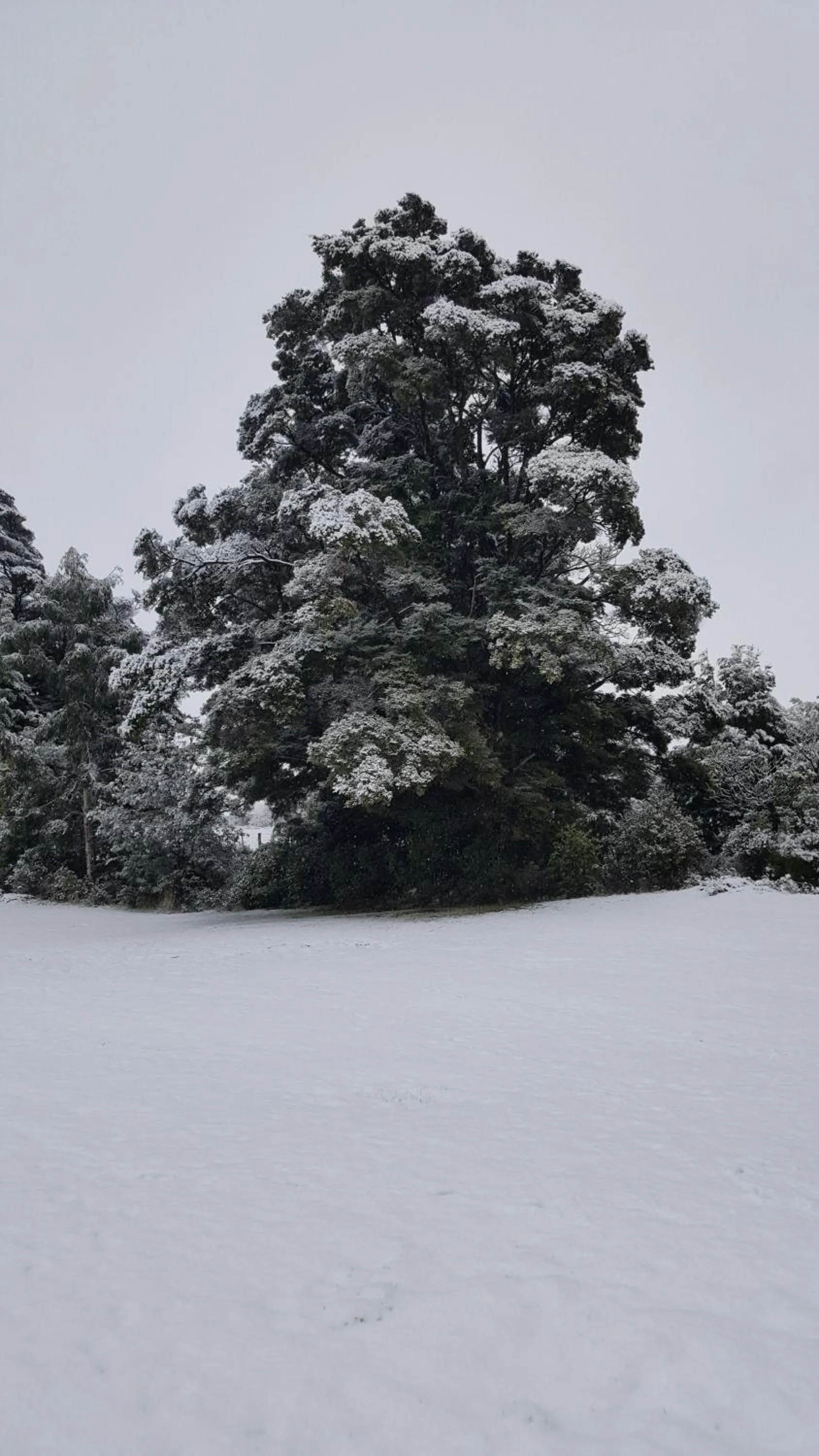 Ruapehu Mountain Motel & Lodge