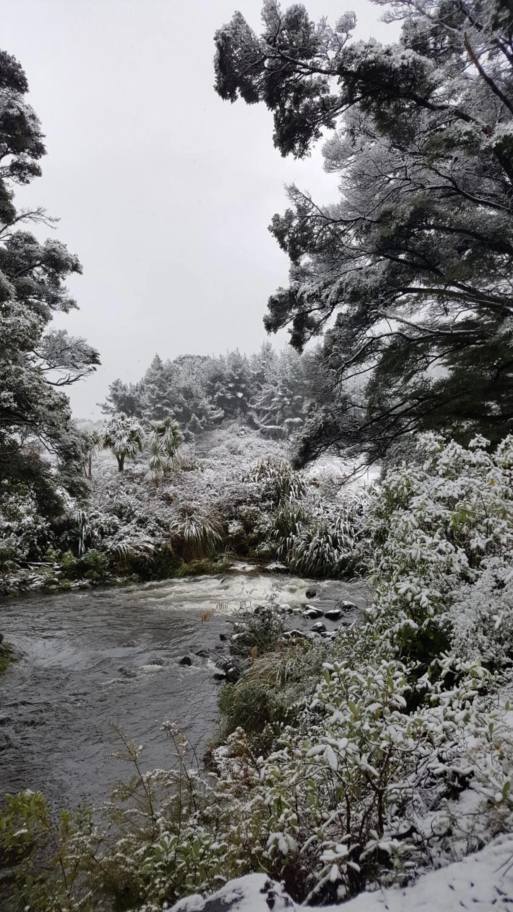 Ruapehu Mountain Motel & Lodge
