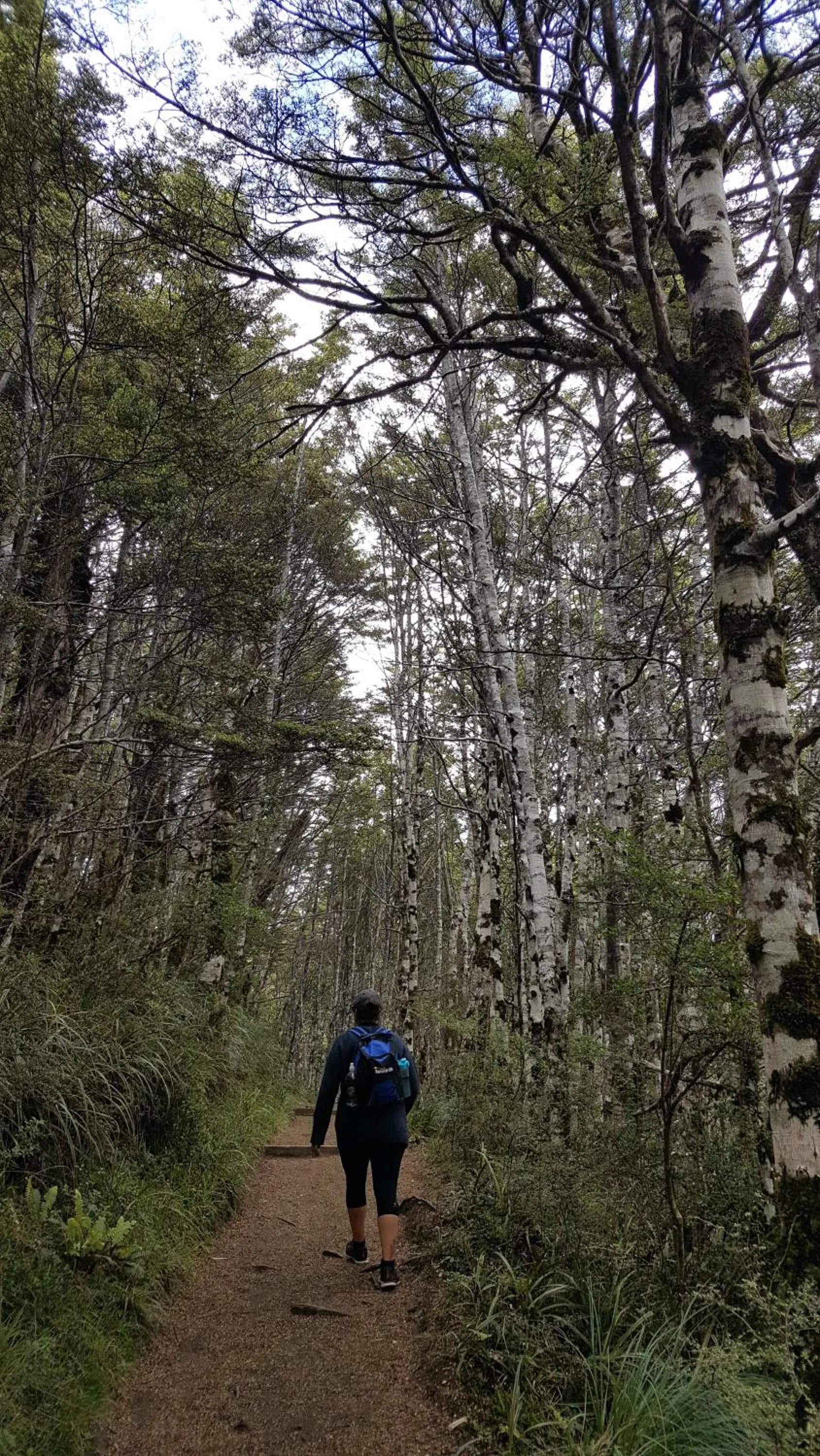 Ruapehu Mountain Motel & Lodge