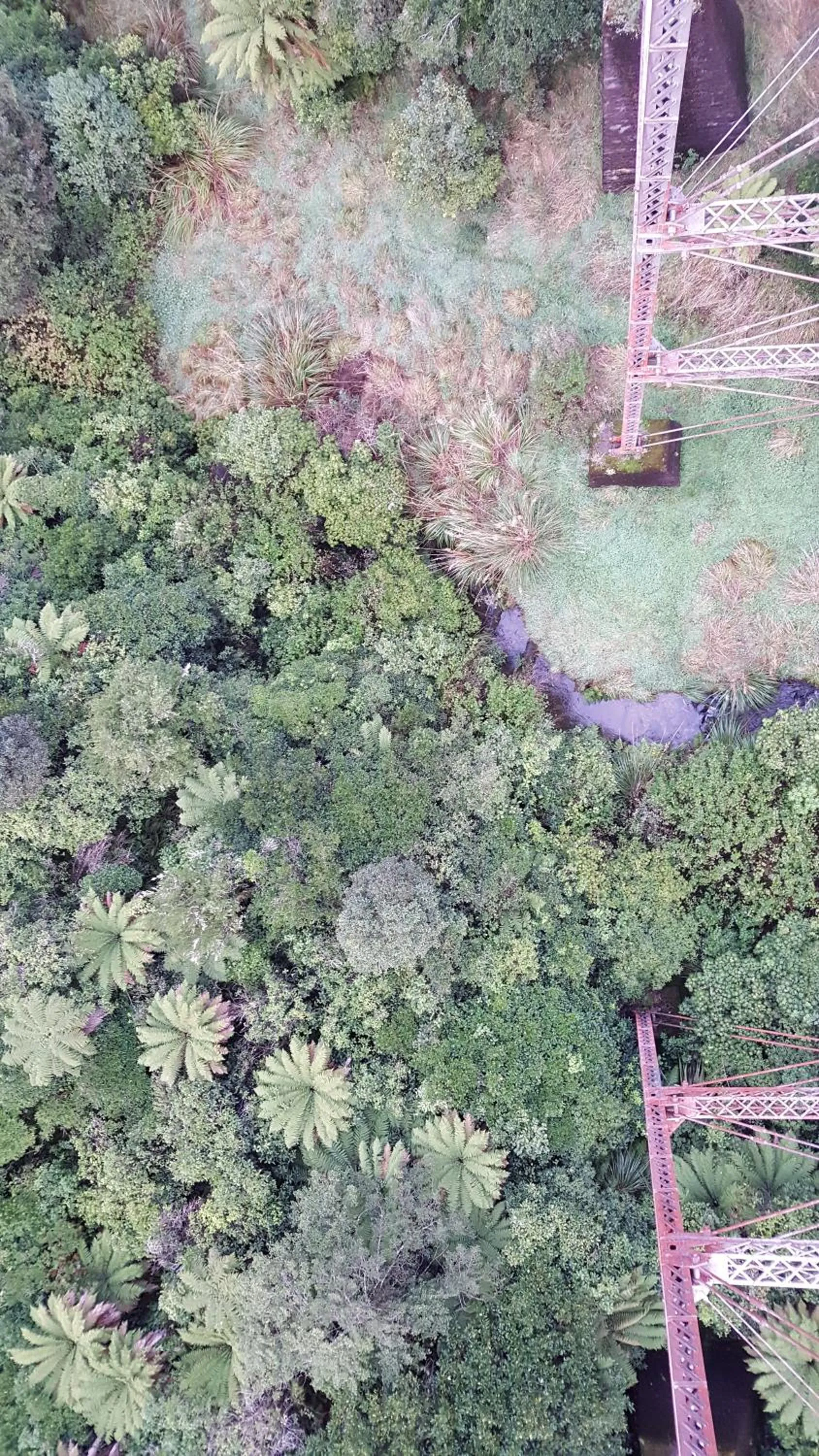 Ruapehu Mountain Motel & Lodge