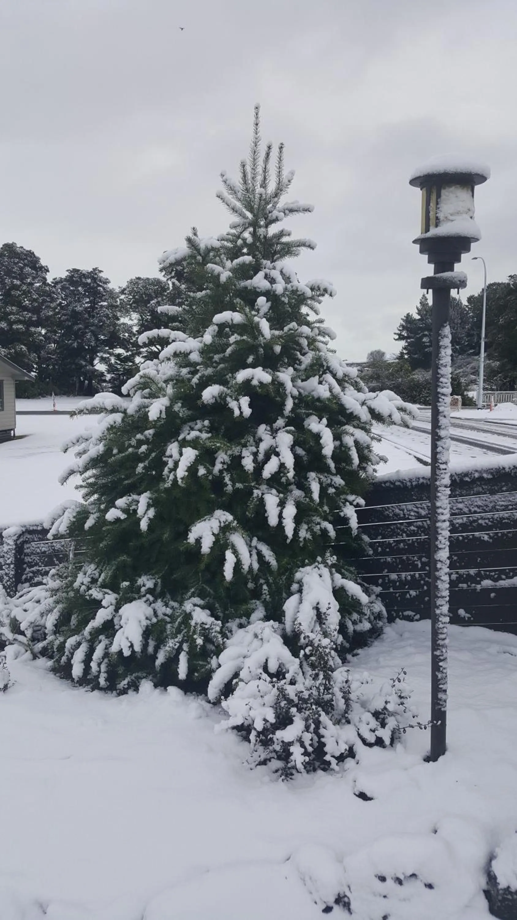 Ruapehu Mountain Motel & Lodge