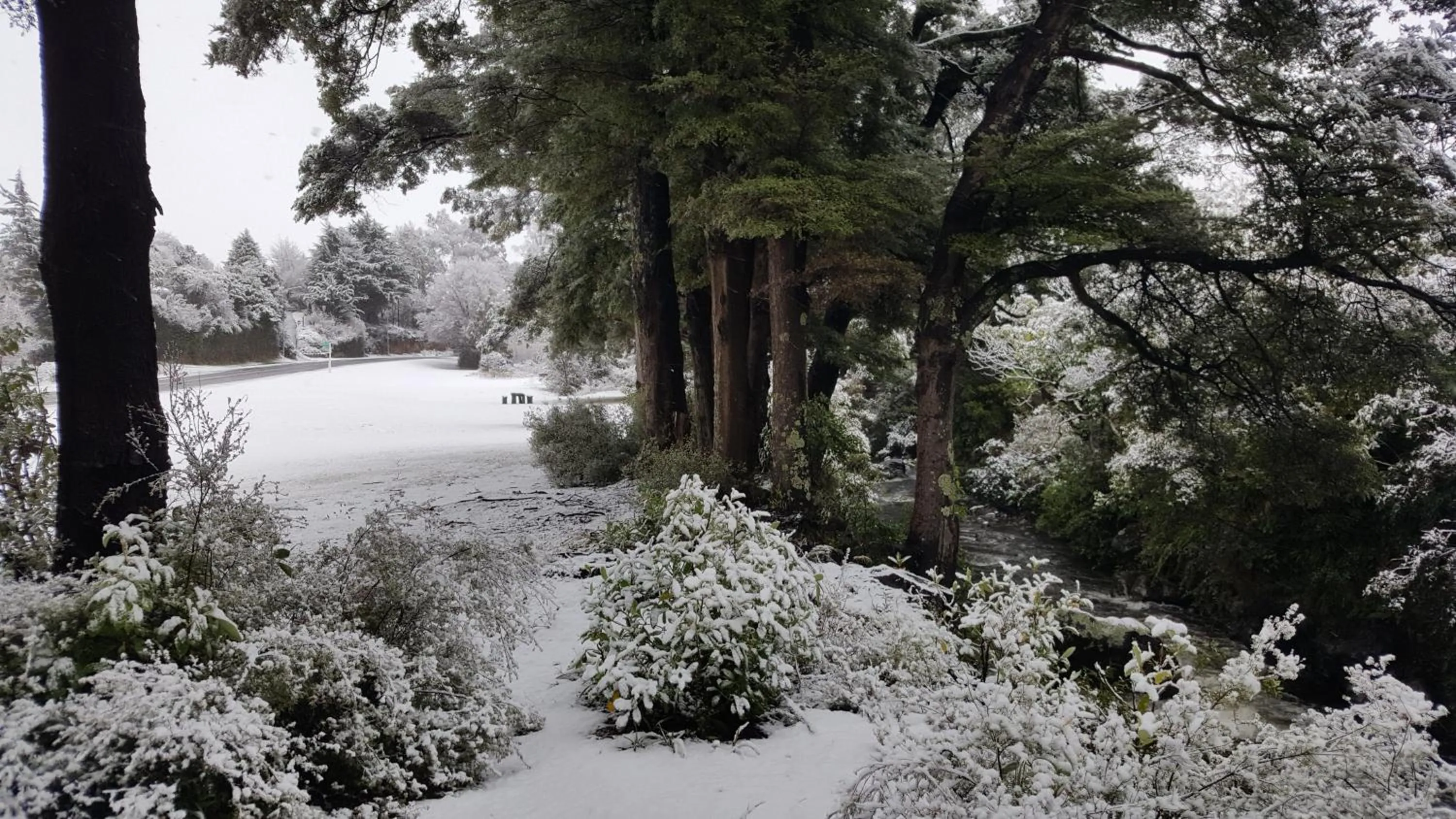 Ruapehu Mountain Motel & Lodge