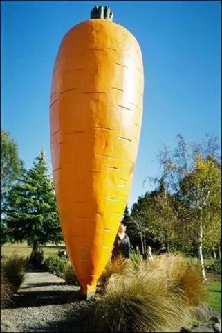 Nearby landmark in Ruapehu Mountain Motel & Lodge