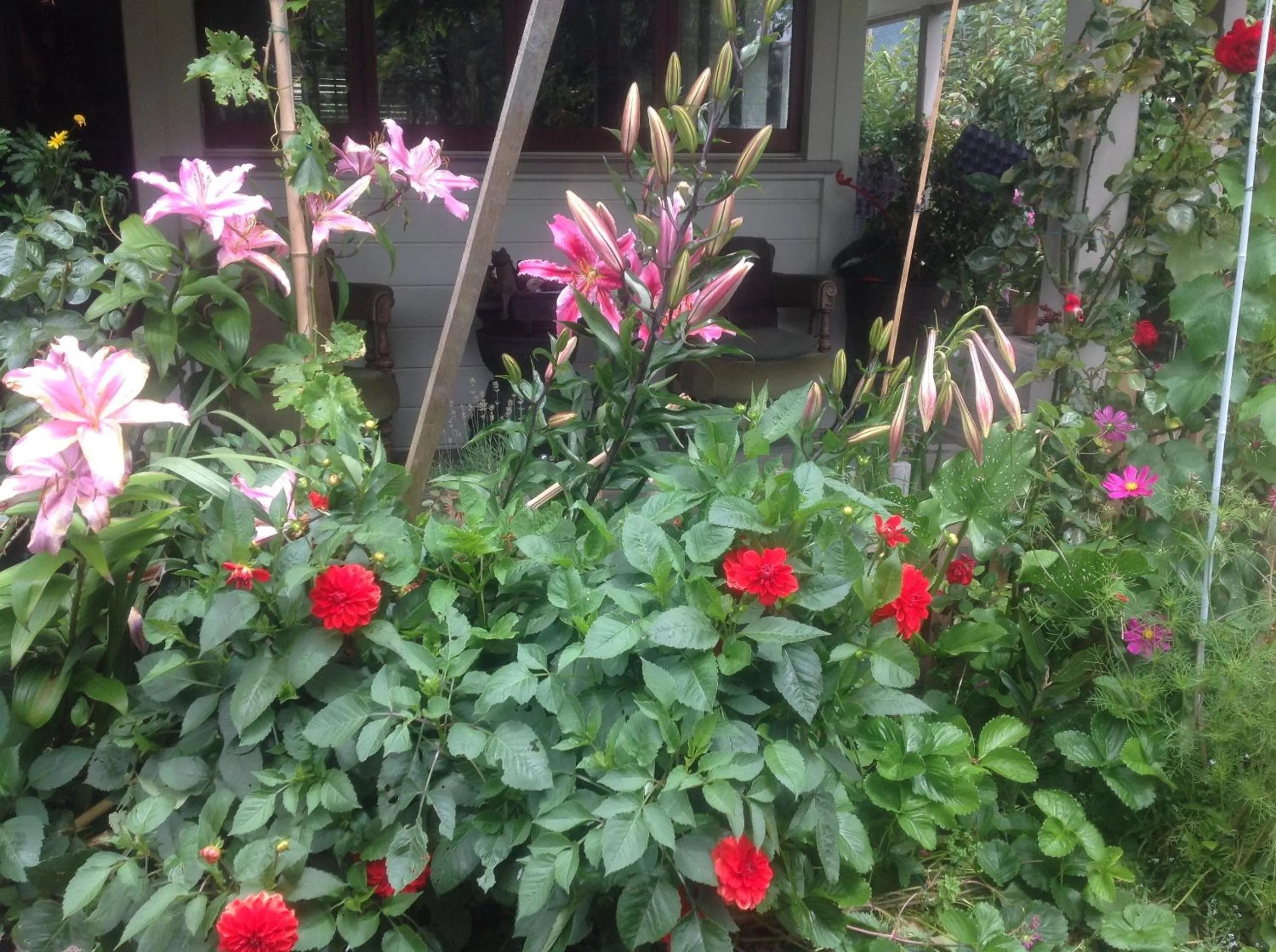 Garden in Kippilaw House