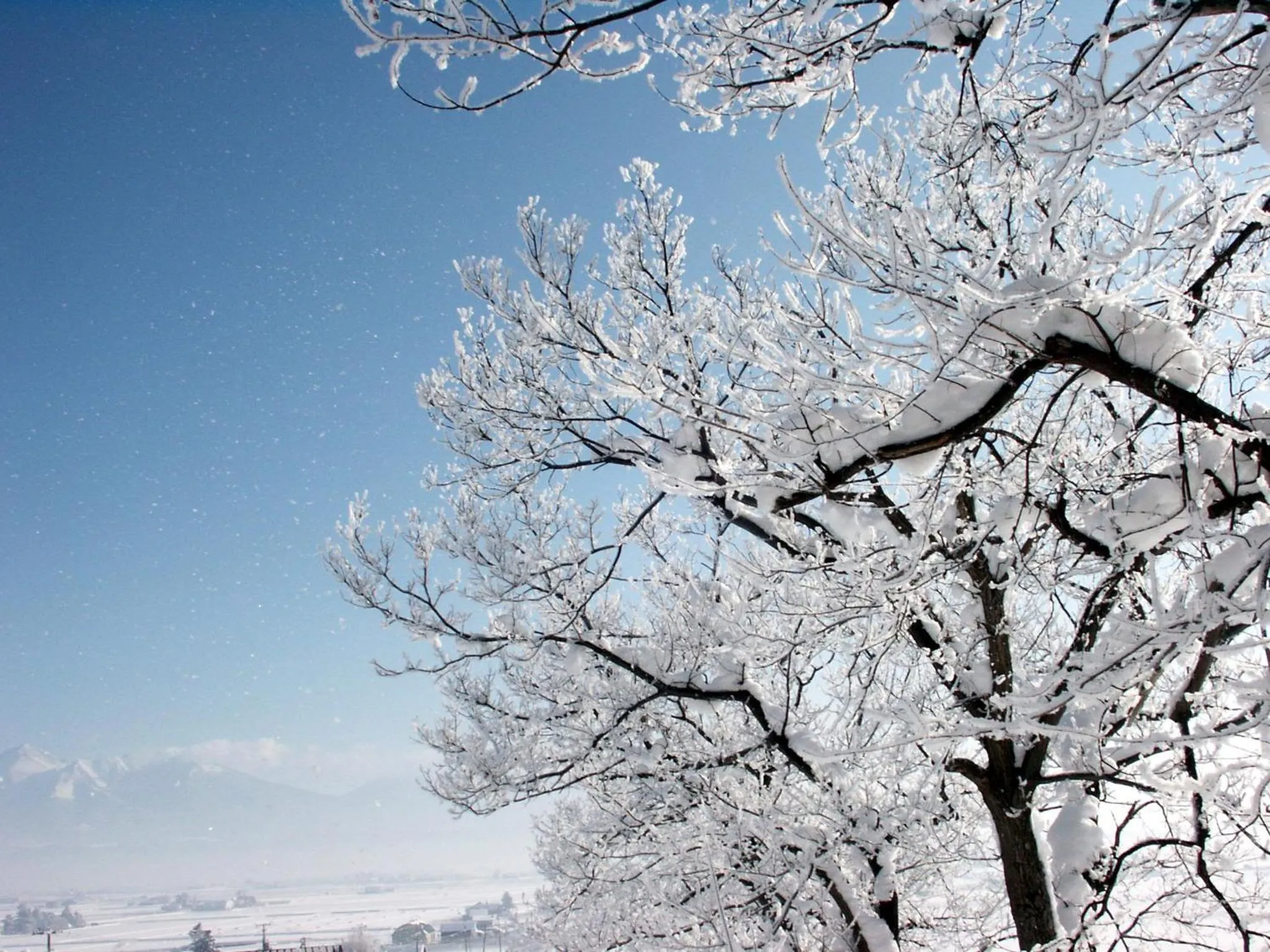 View (from property/room) in Pension and Restaurant La Collina