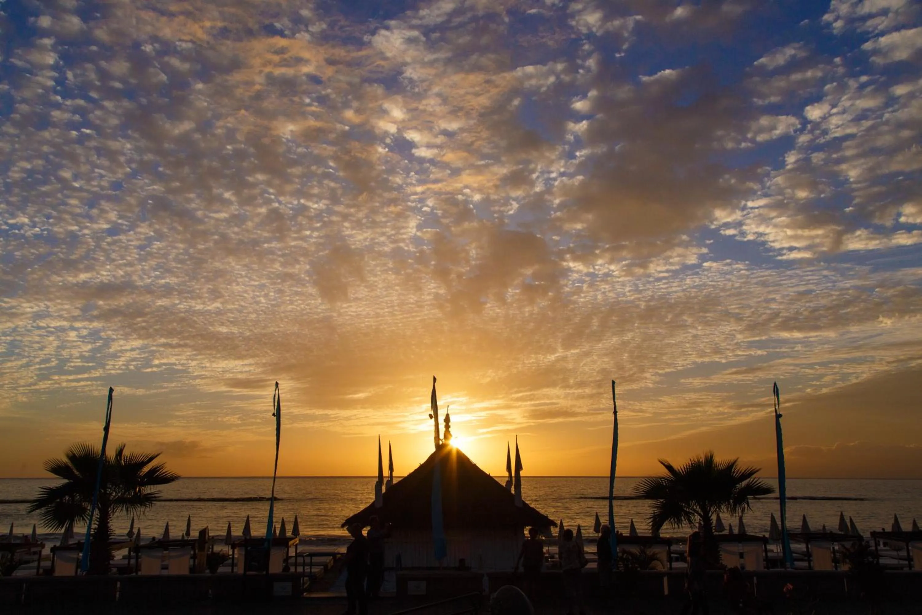 Beach in Los Olivos Beach Resort