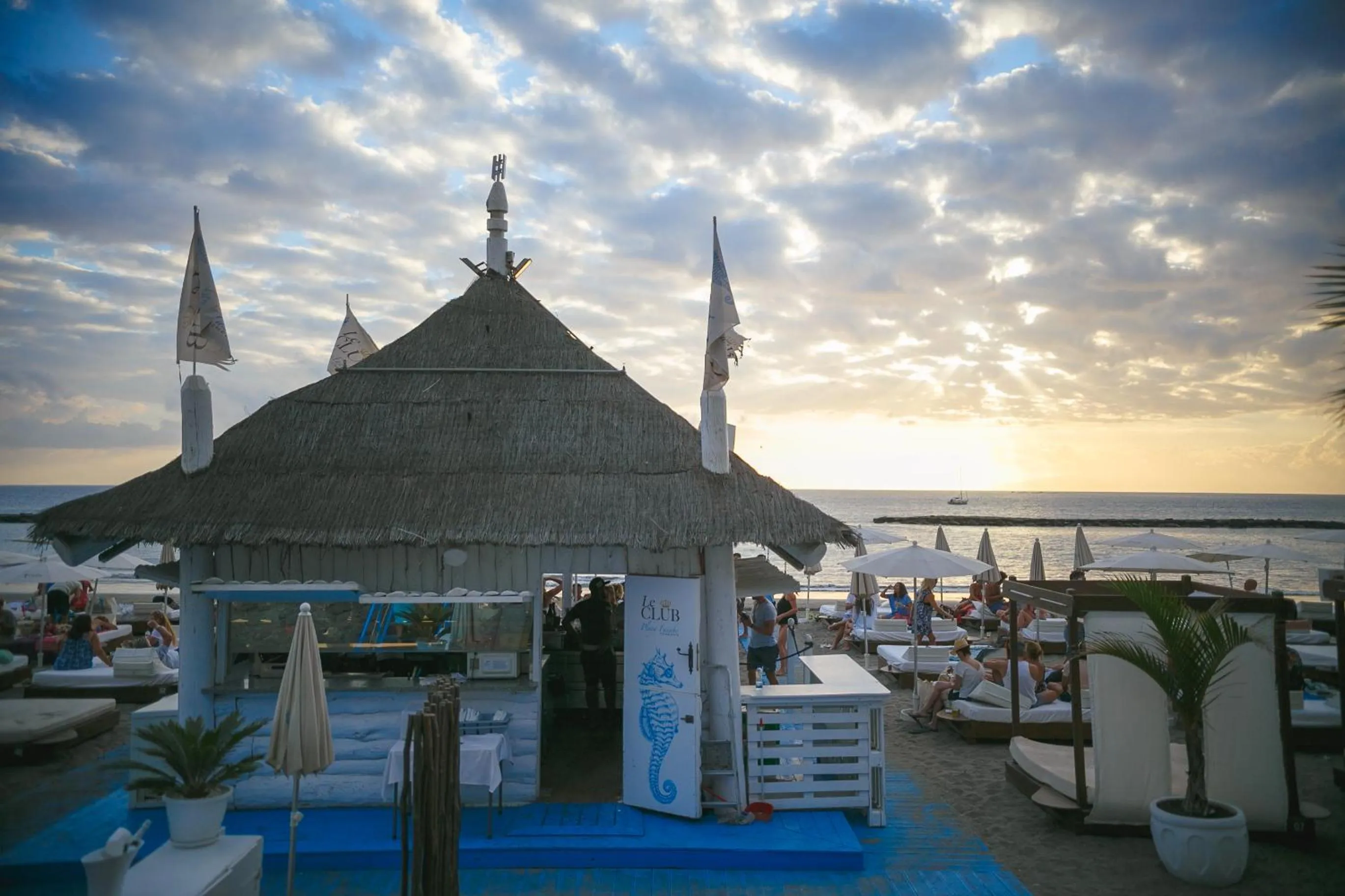 Beach in Los Olivos Beach Resort