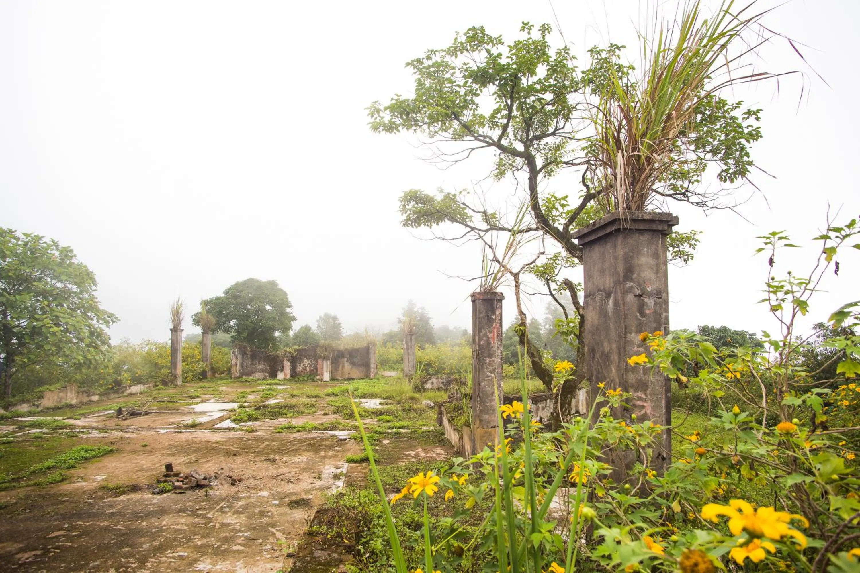 Natural landscape in Melia Ba Vi Mountain Retreat