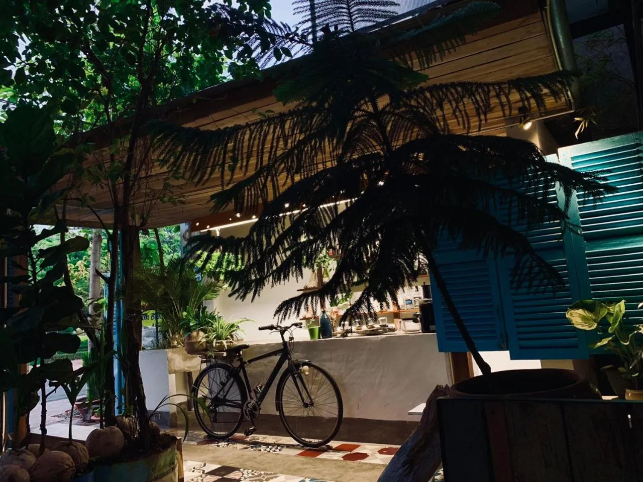 Garden view in Uyen's House