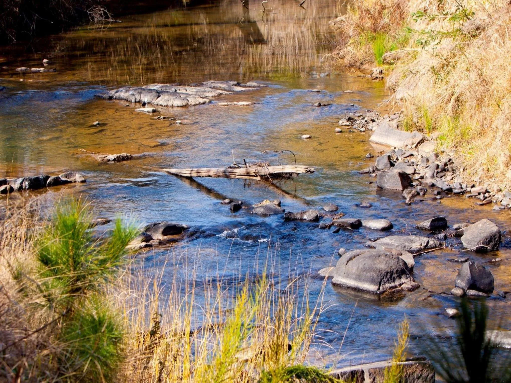 Natural landscape in The Nest Drakensberg Mountain Resort Hotel